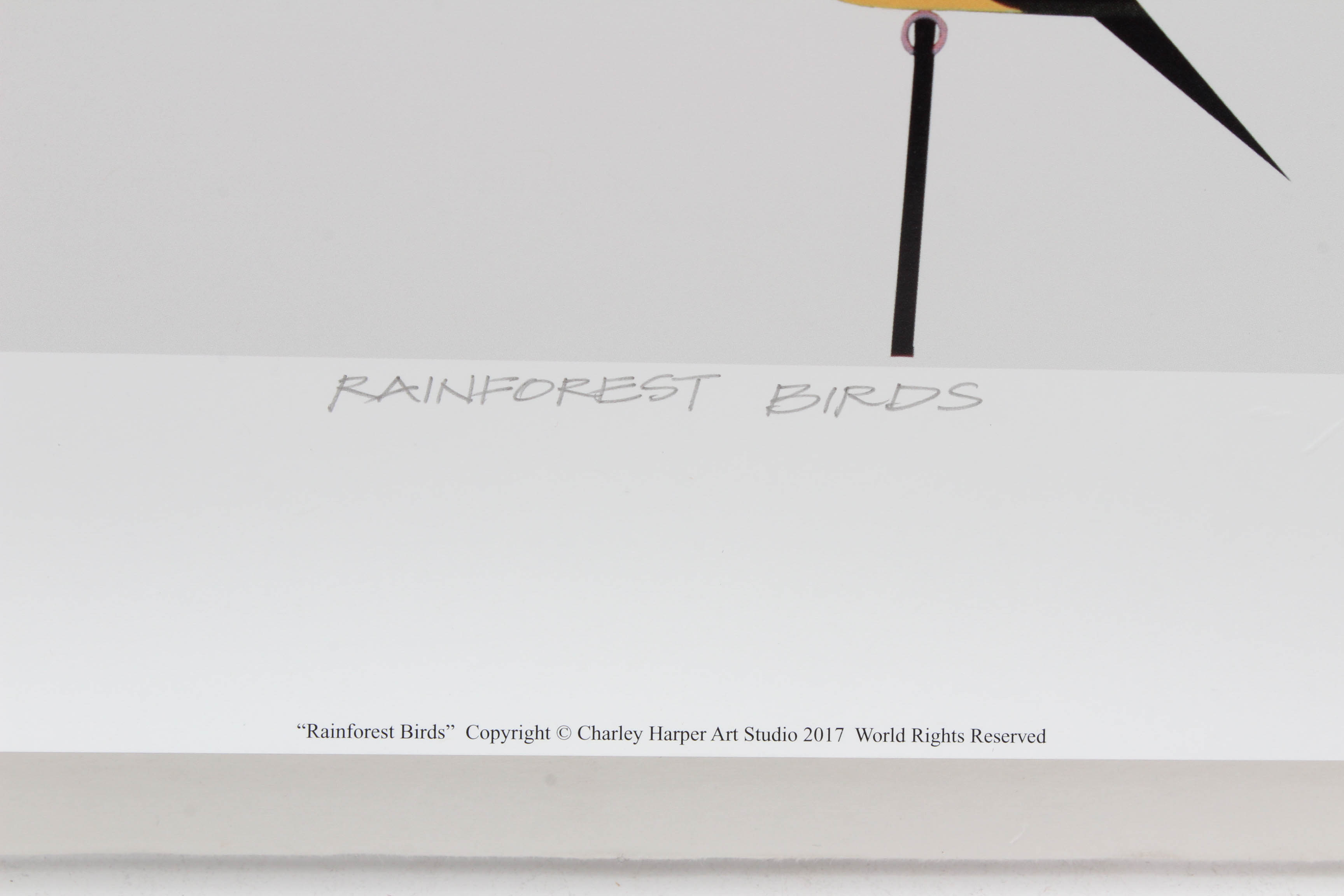 Charley Harper Offset Lithograph "Rainforest Birds"