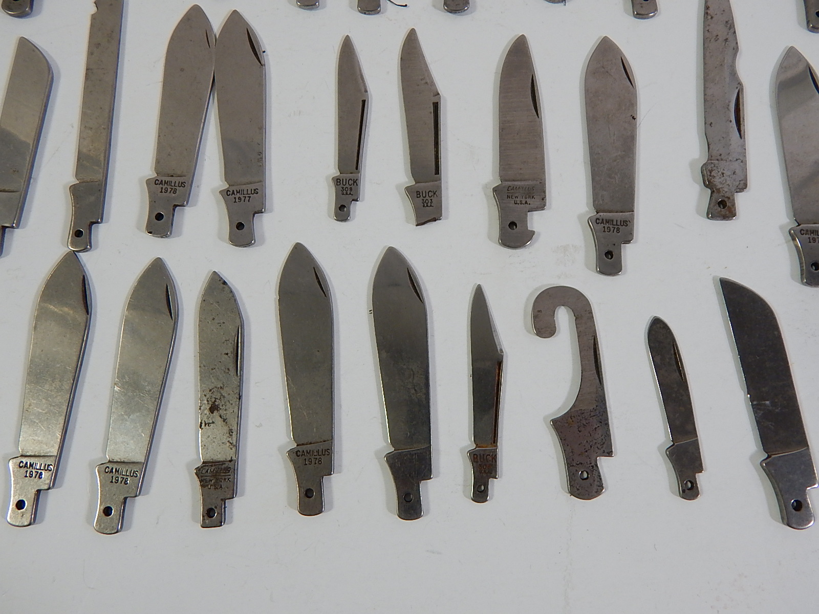 Folding Knife Blade Collection - Over 40 Blades