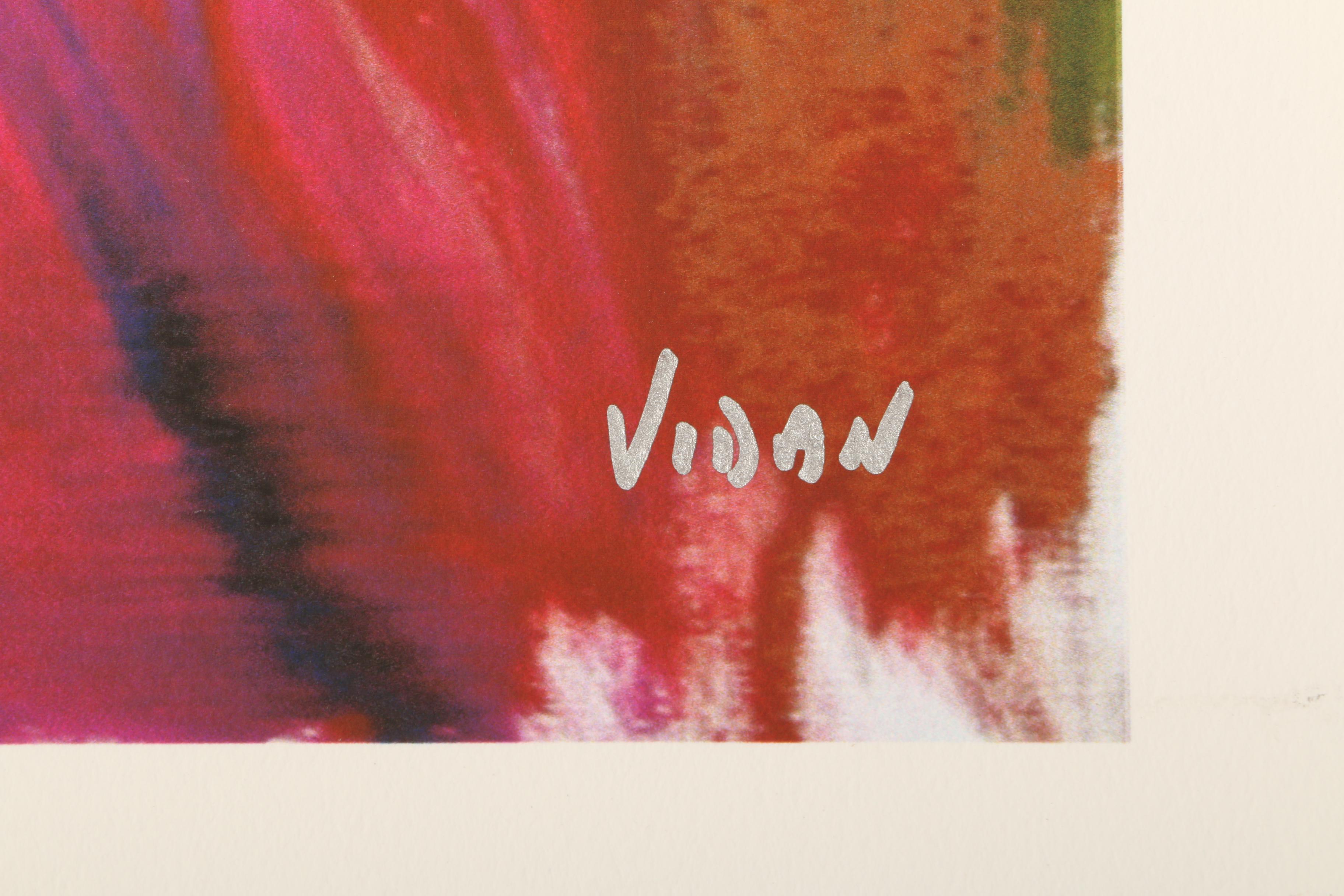 Vidan Limited Edition Giclée "Untitled 10"