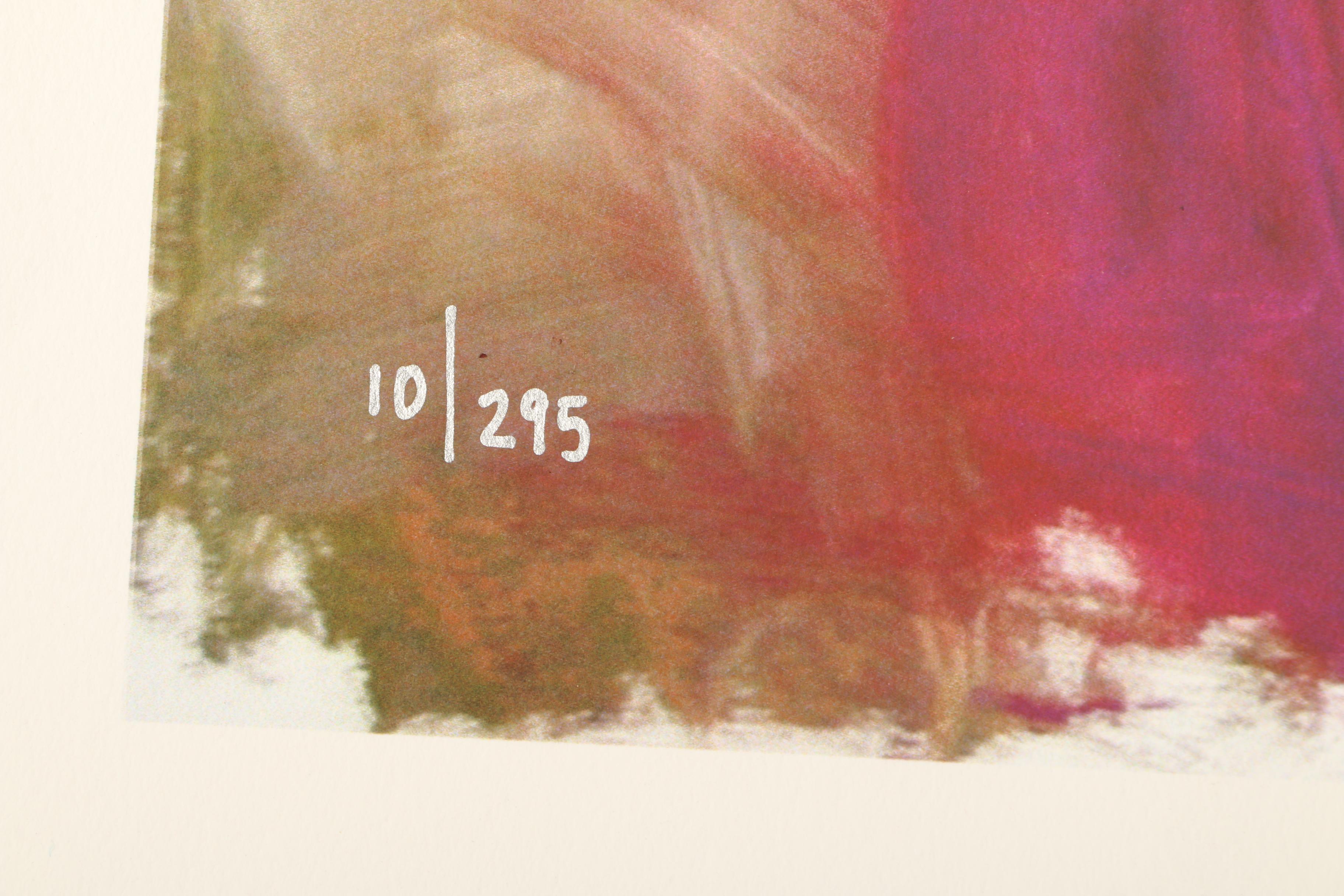 Vidan Limited Edition Giclée "Untitled 10"