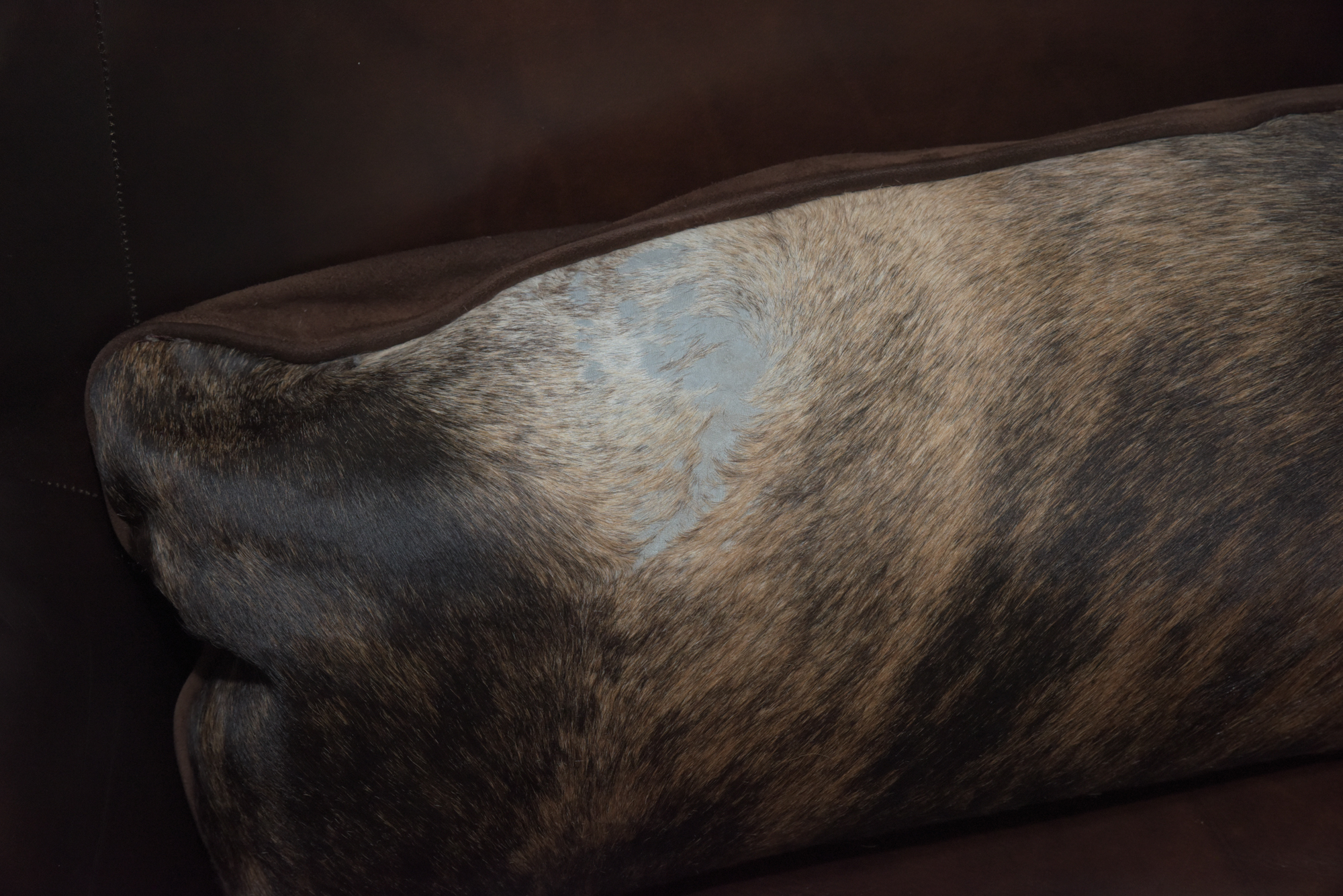 Calf Hide and Leather Armchair by Bernhardt