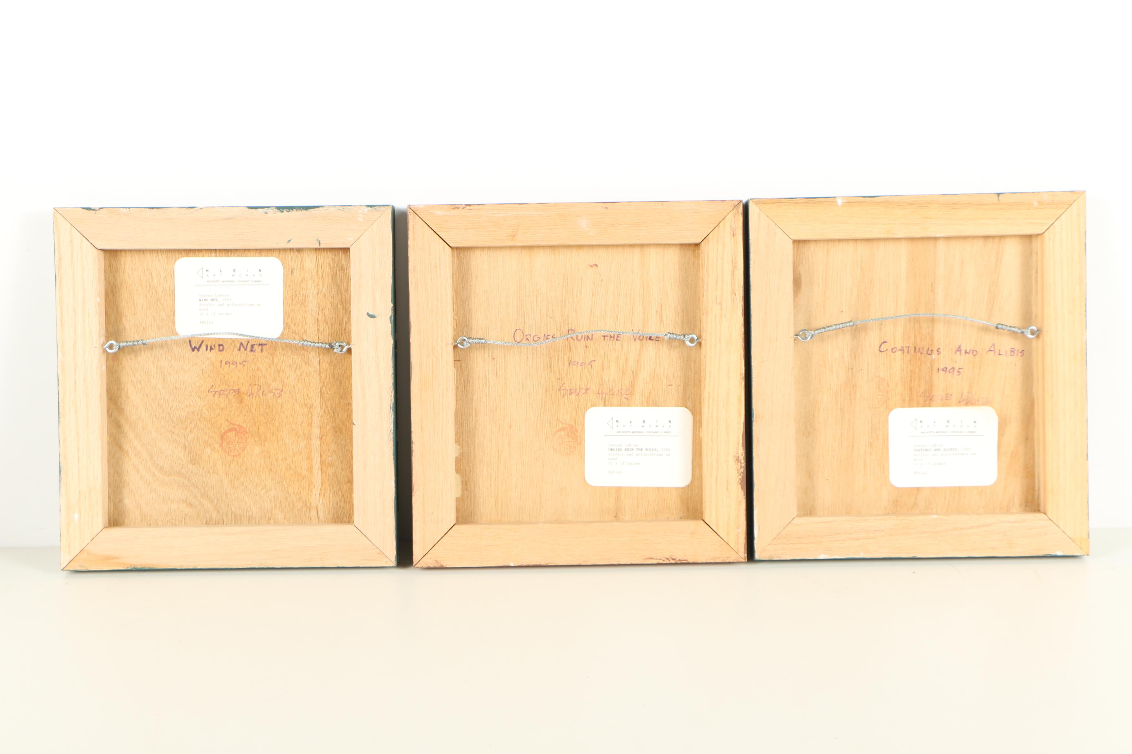 Steven LaRose 1995 Acrylic Paintings on Fabric