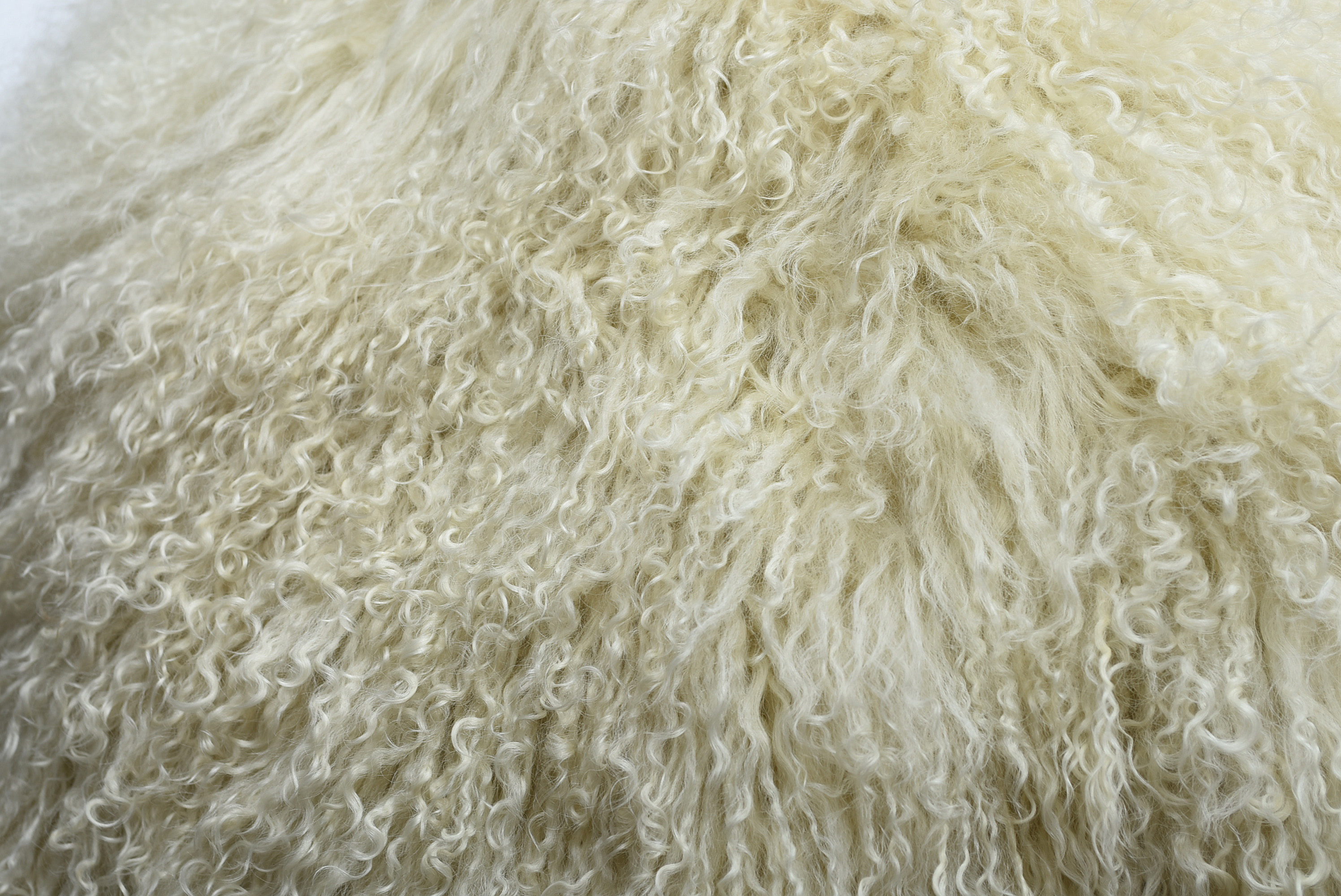 Maison Martin Margiela Mongolian Fur Capelet