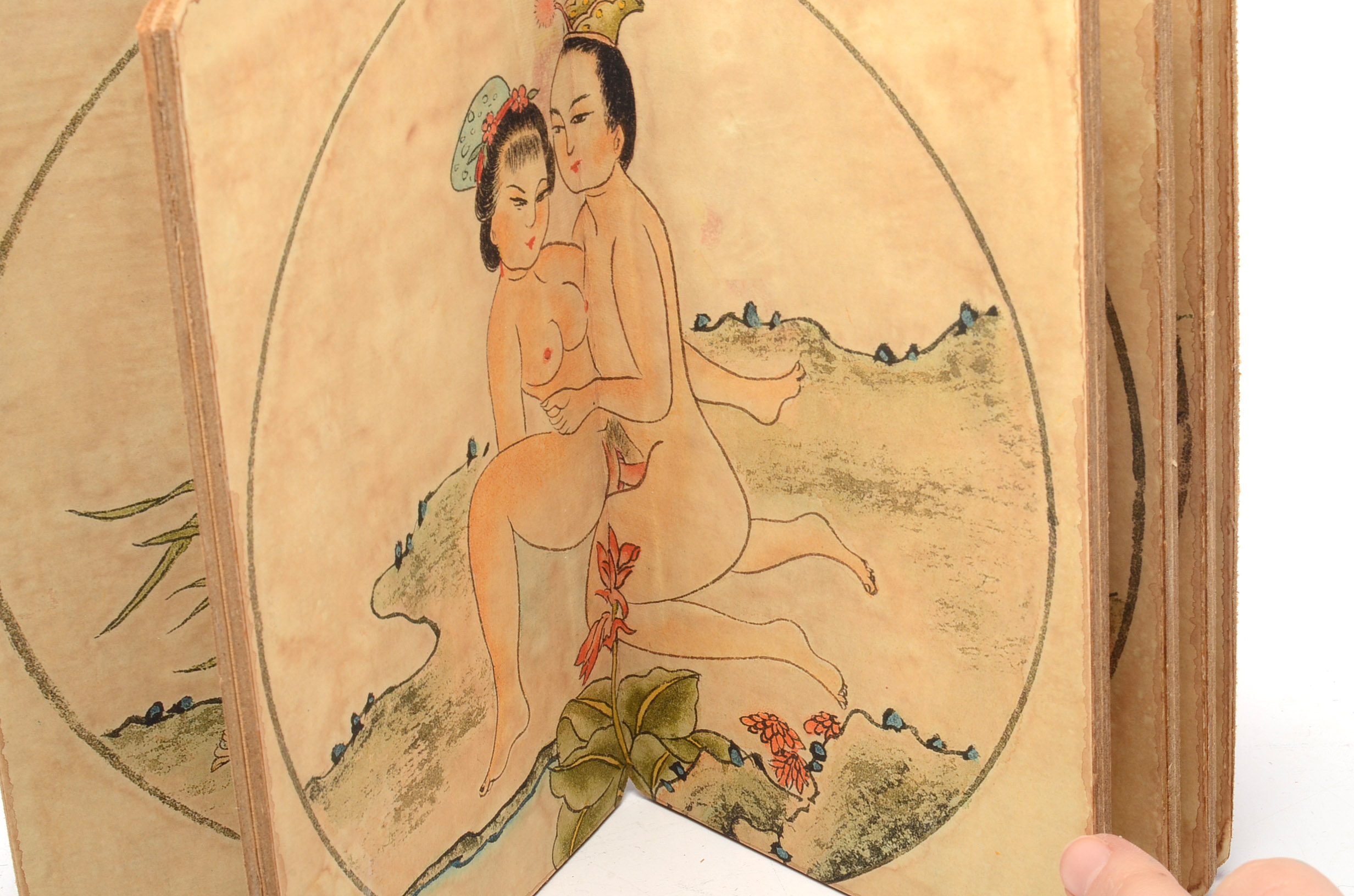 Chinese Erotic Pillow Books