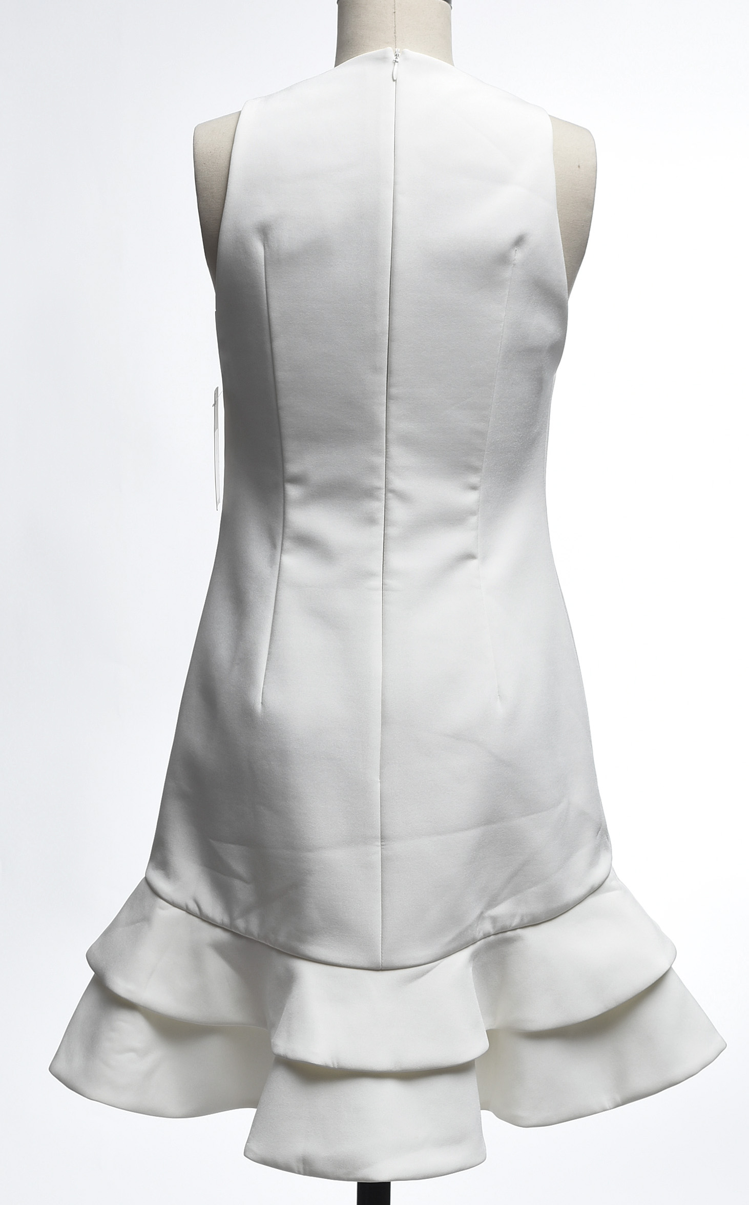 Keepsake Borderline Sleeveless Ruffled Skirt Mini Dress