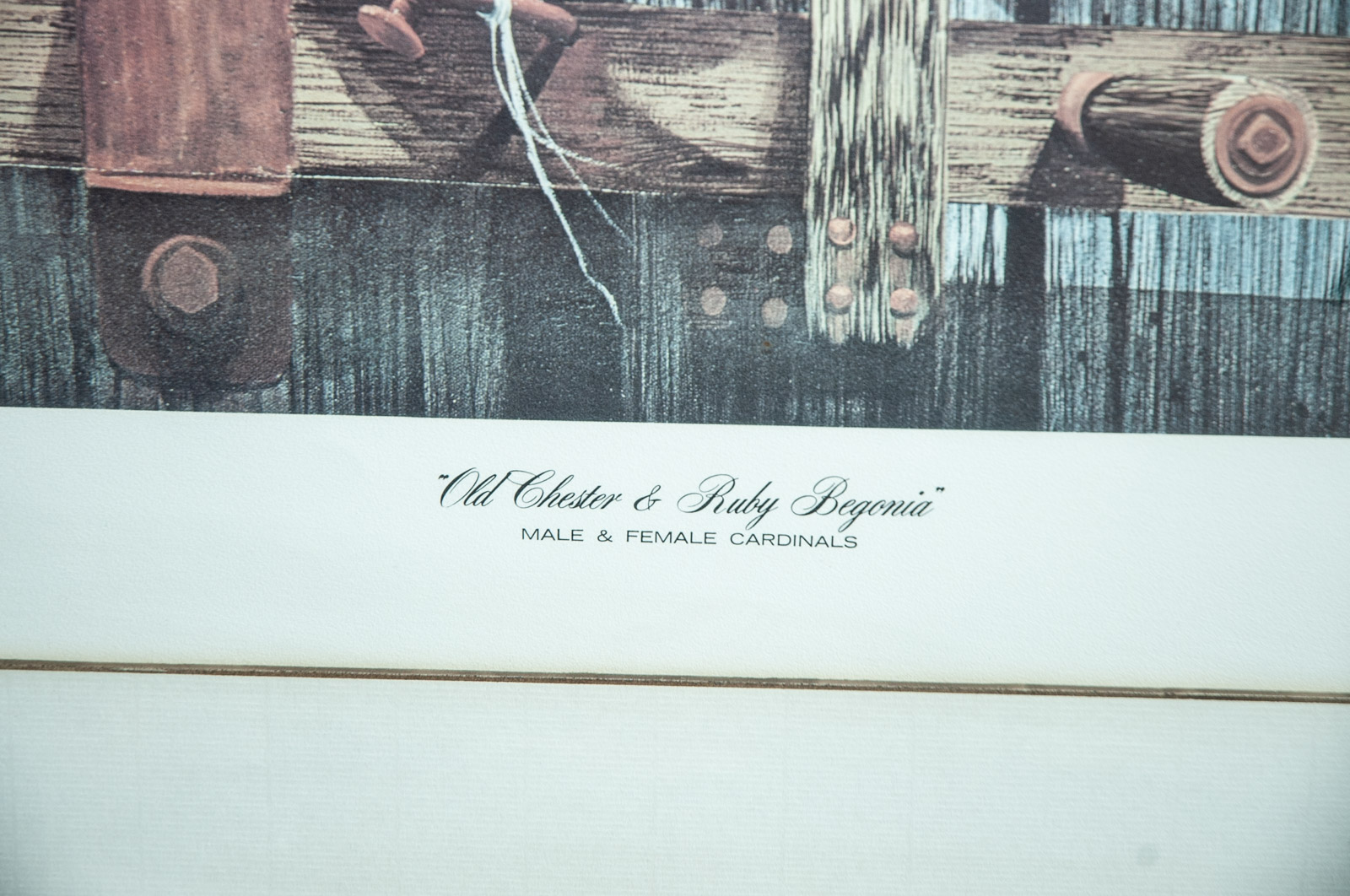 Riley Bertram Artist's Proof Lithograph "Old Chester & Ruby Begonia"