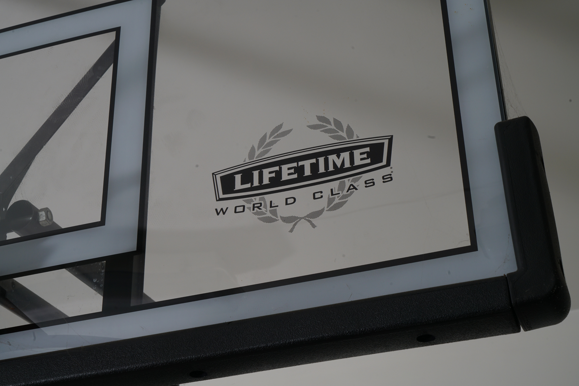 Lifetime "World Class" Adjustable Basketball Hoop