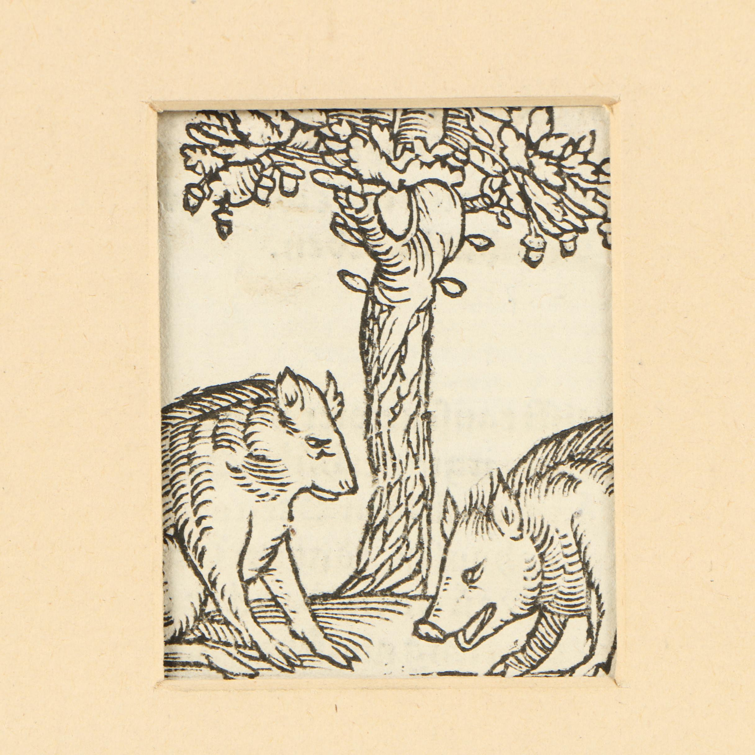 16th Century German Woodblock