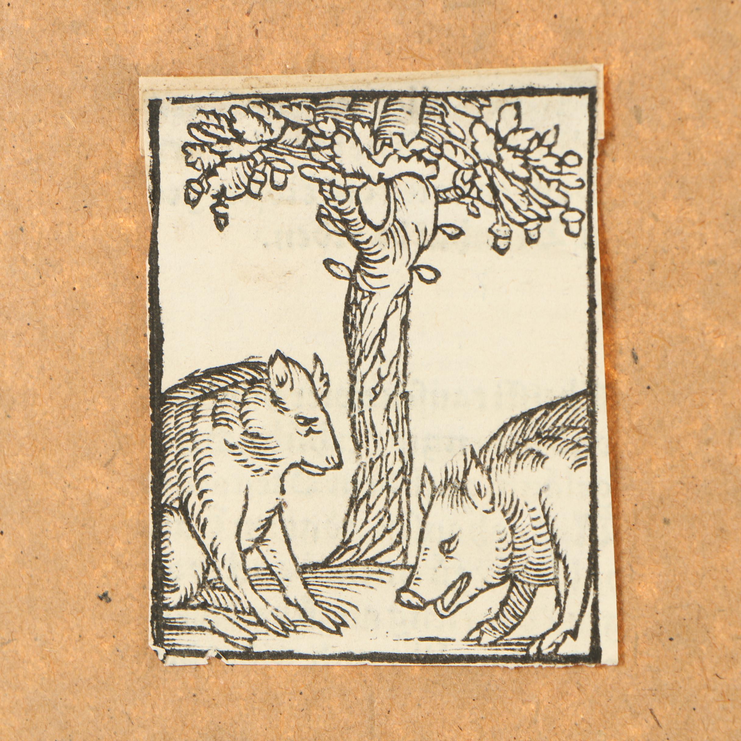 16th Century German Woodblock