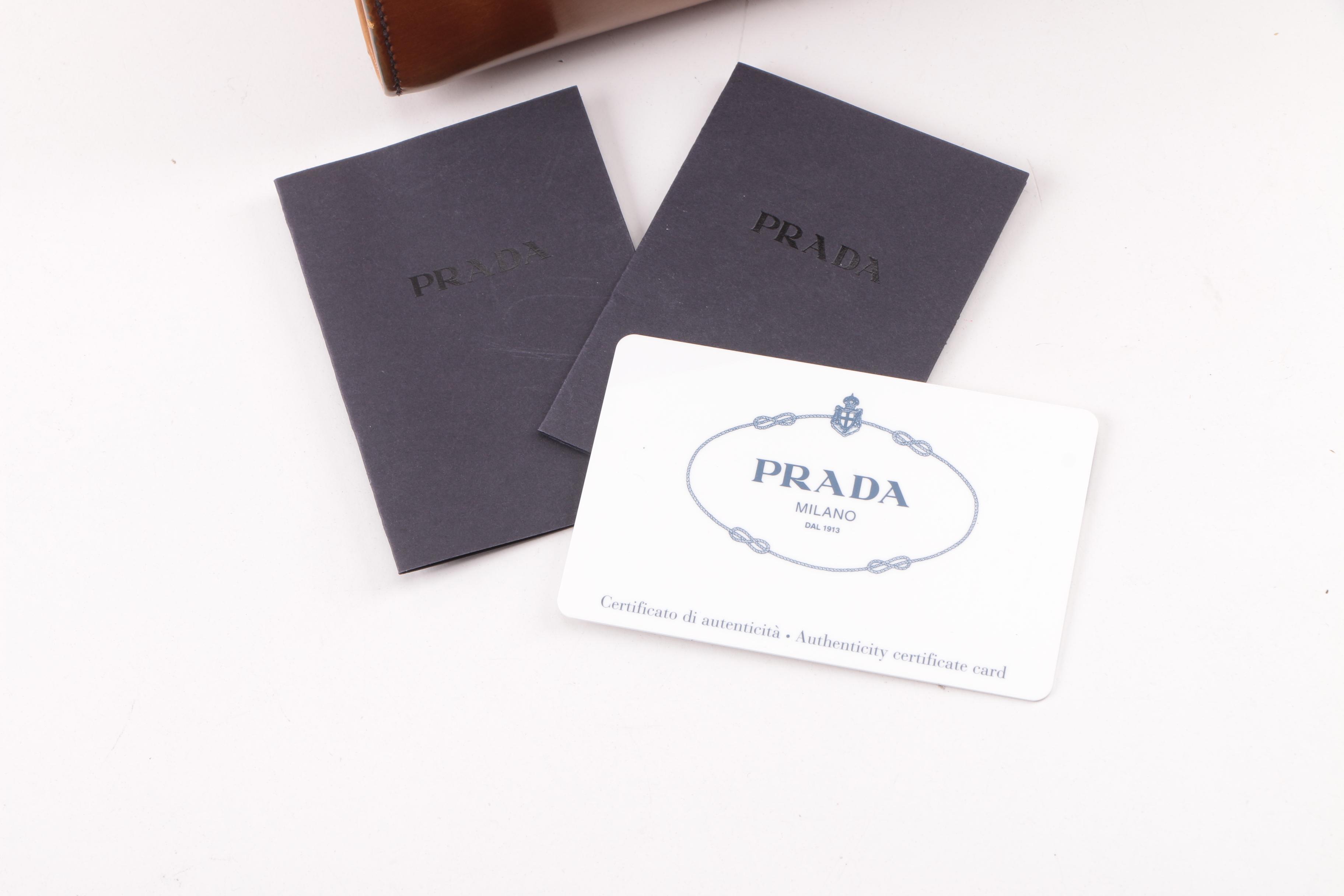 2005 Prada Ambra Spazzolato Leather Frame Bag