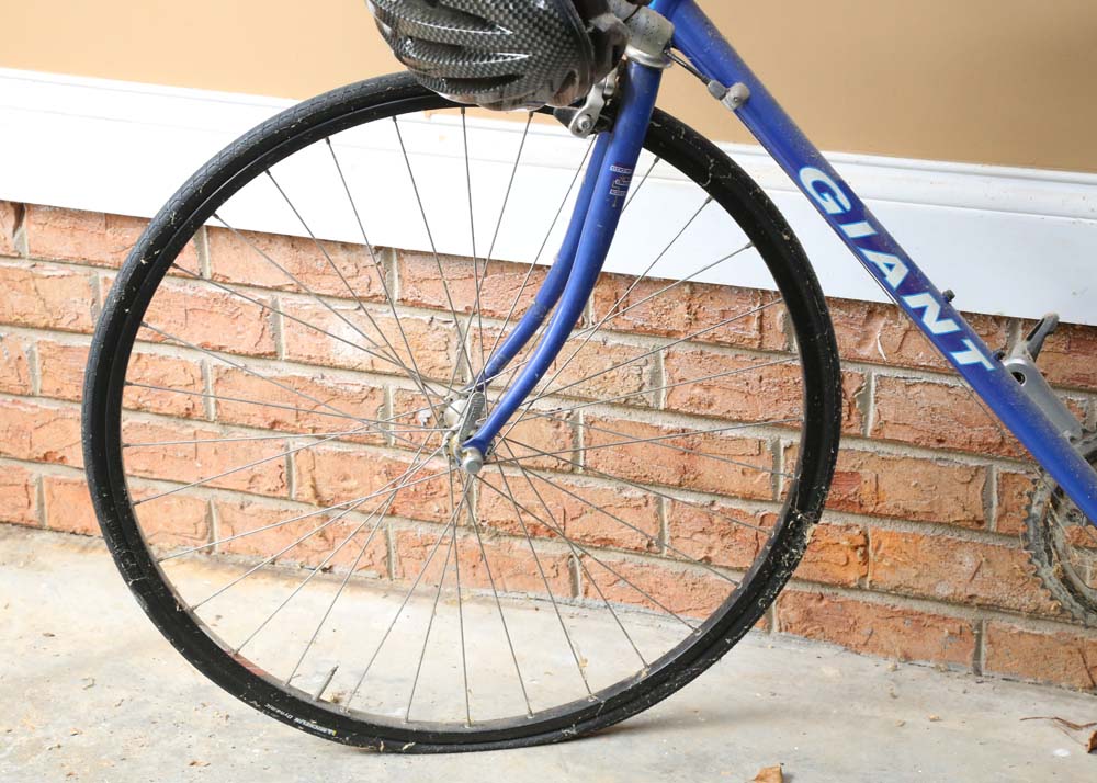 Giant "Allegre" Road Bike