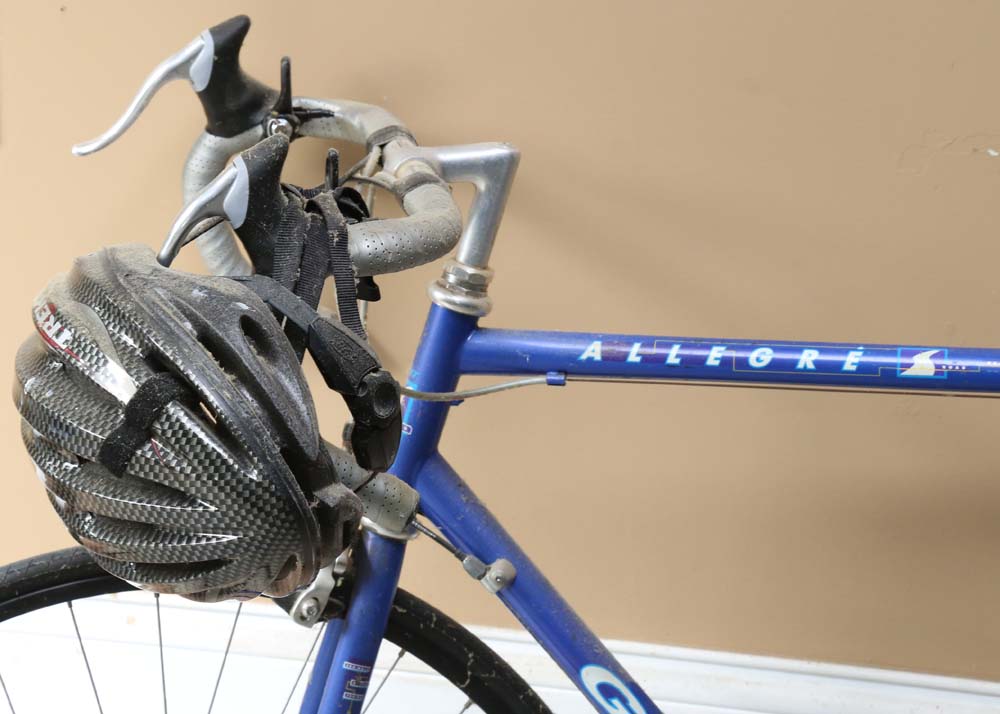 Giant "Allegre" Road Bike