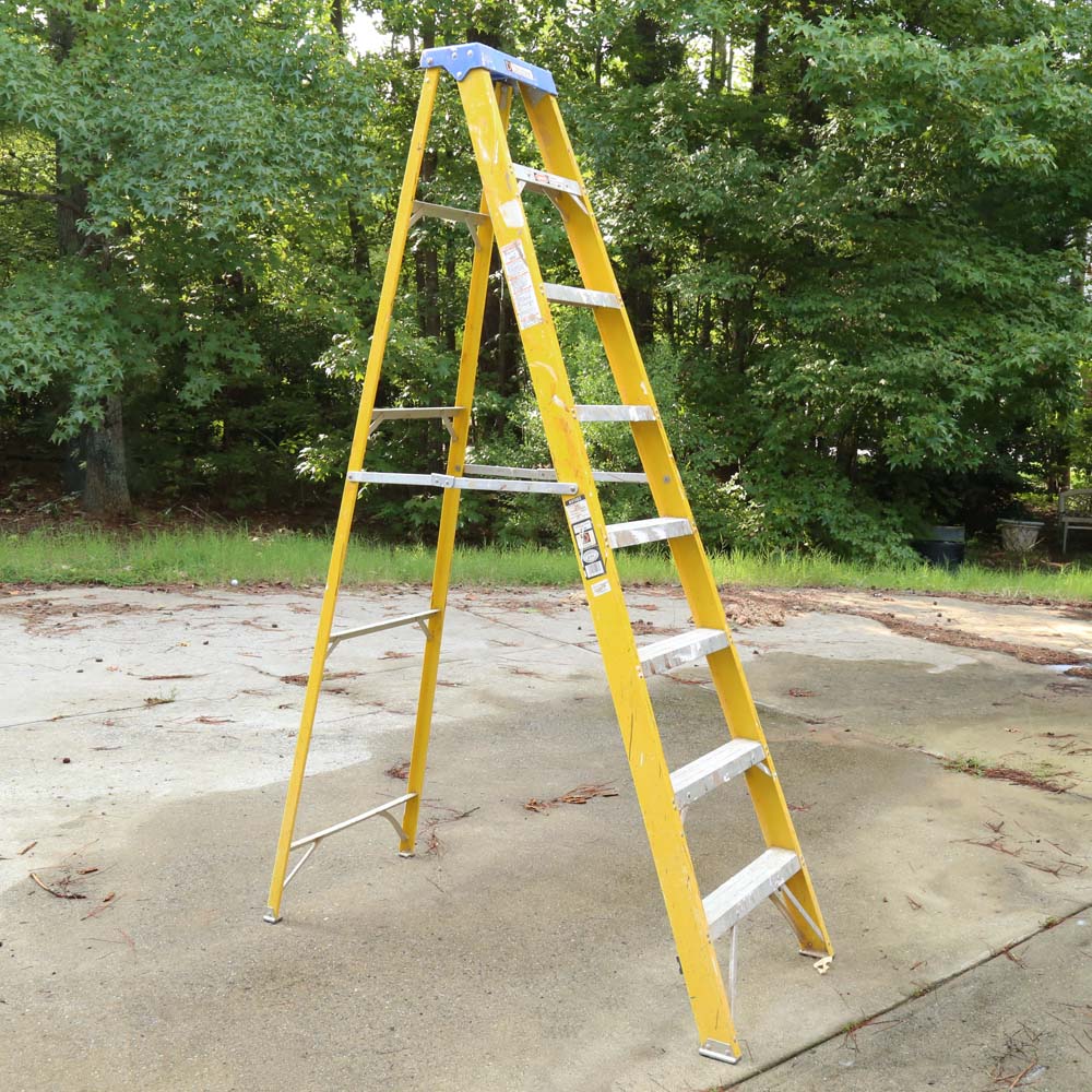 Davidson Pro 8' Step Ladder