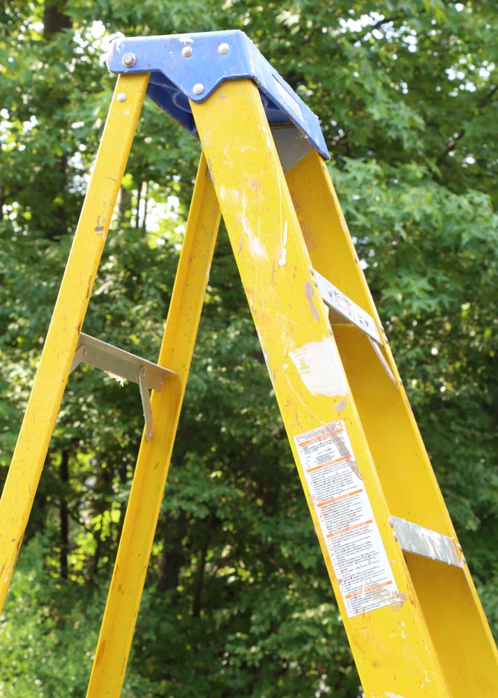 Davidson Pro 8' Step Ladder
