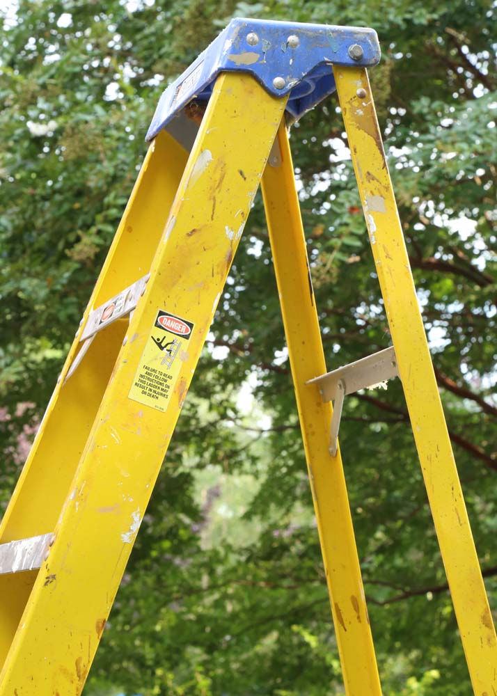 Davidson Pro 8' Step Ladder