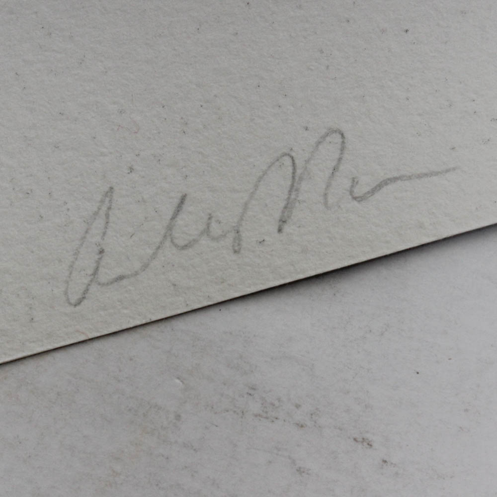 Original Mixed Media Print "Flight"