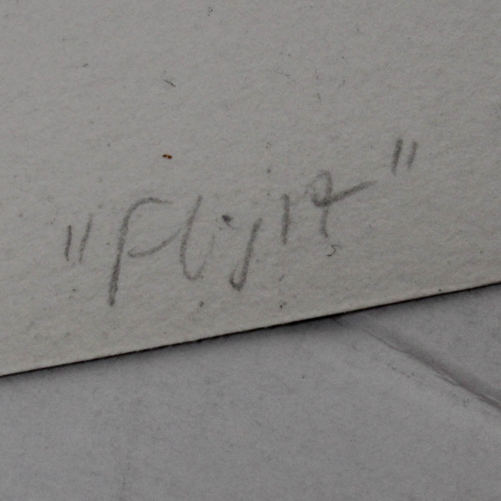 Original Mixed Media Print "Flight"