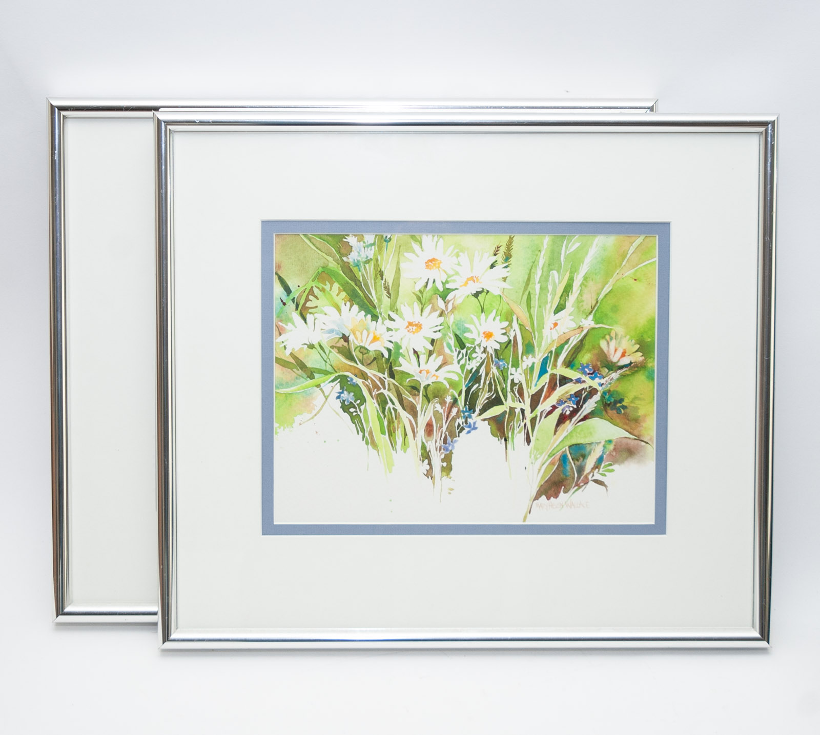 Watercolors by Mary Helen Wallace