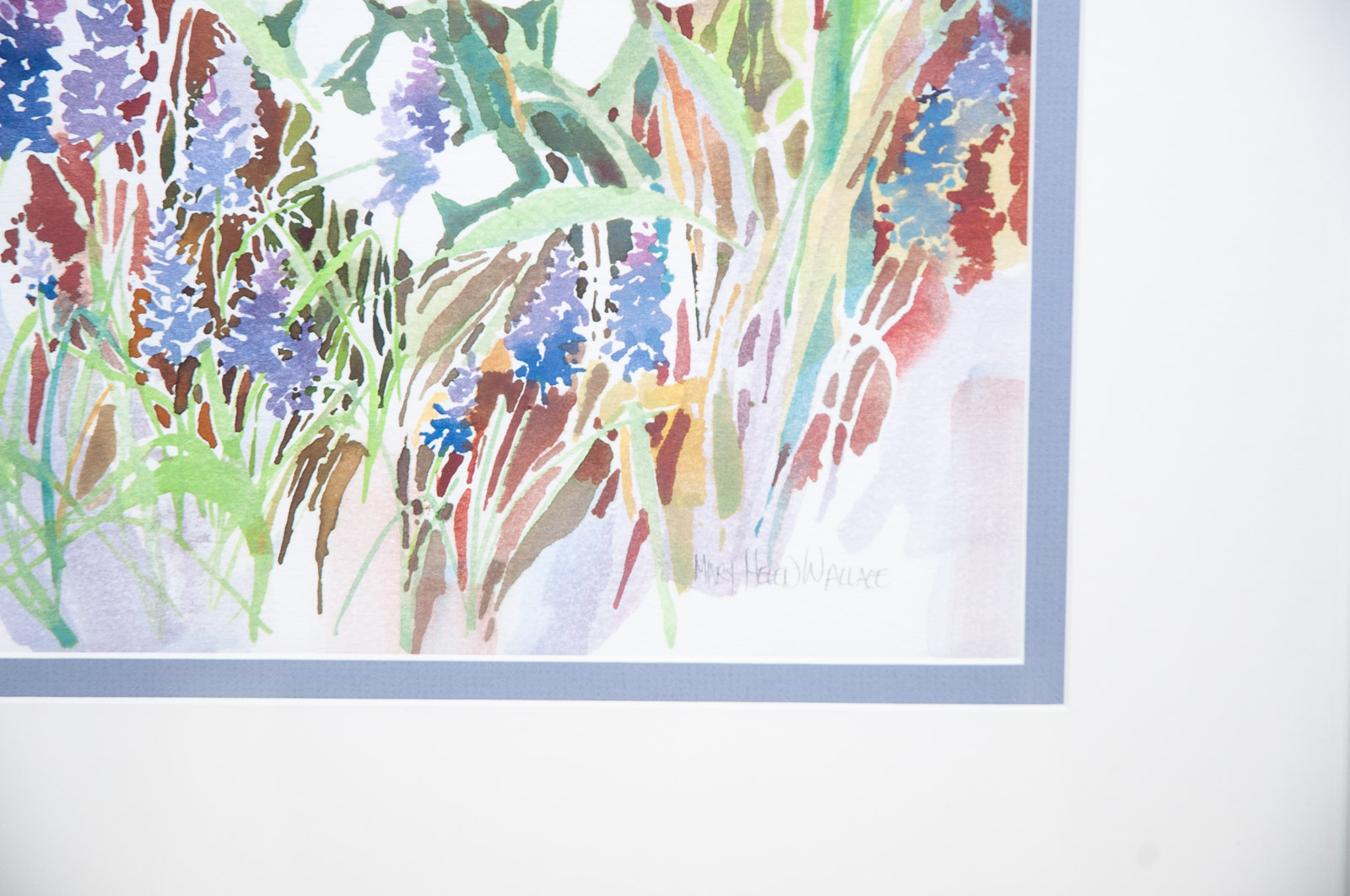 Watercolors by Mary Helen Wallace