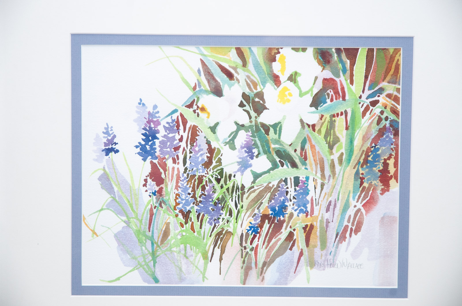 Watercolors by Mary Helen Wallace