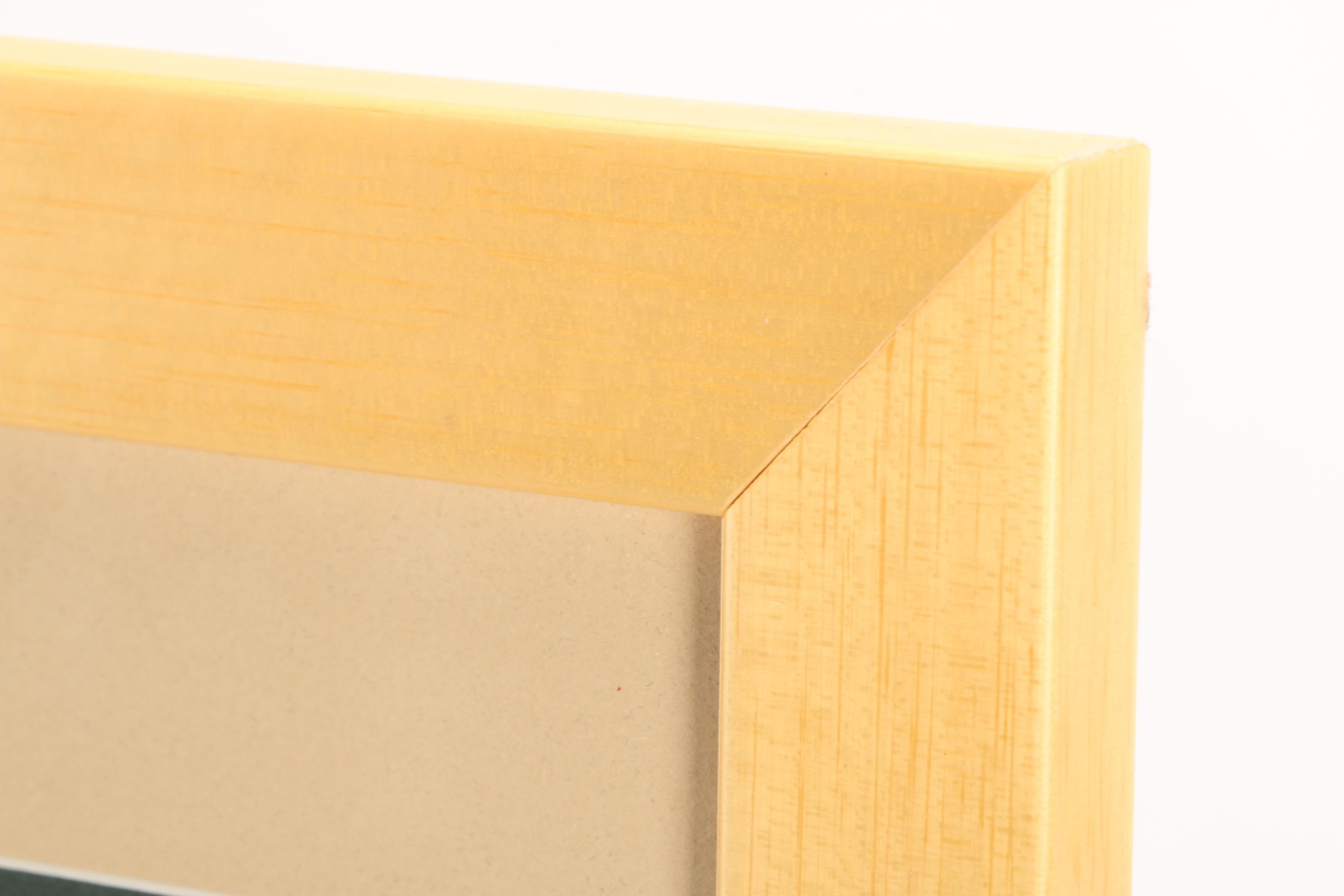 Reproduction Print after WPA Travel Poster for Dinosaur National Monument