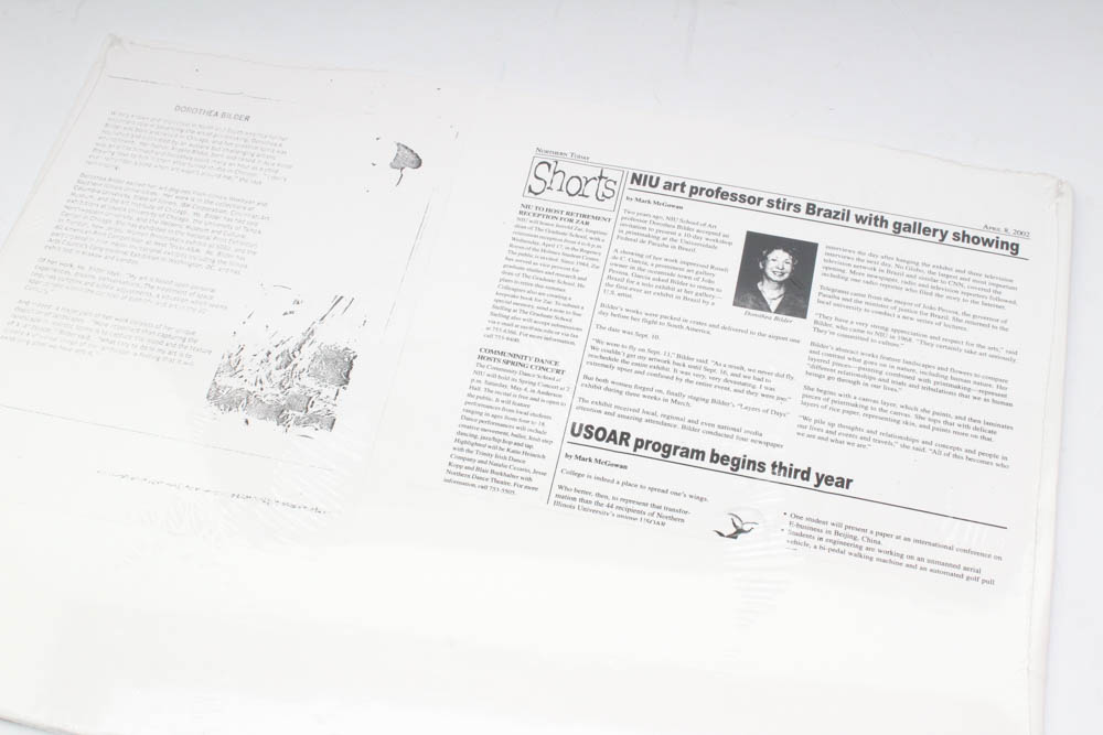 Dorothea Bilder Mixed Media Painting