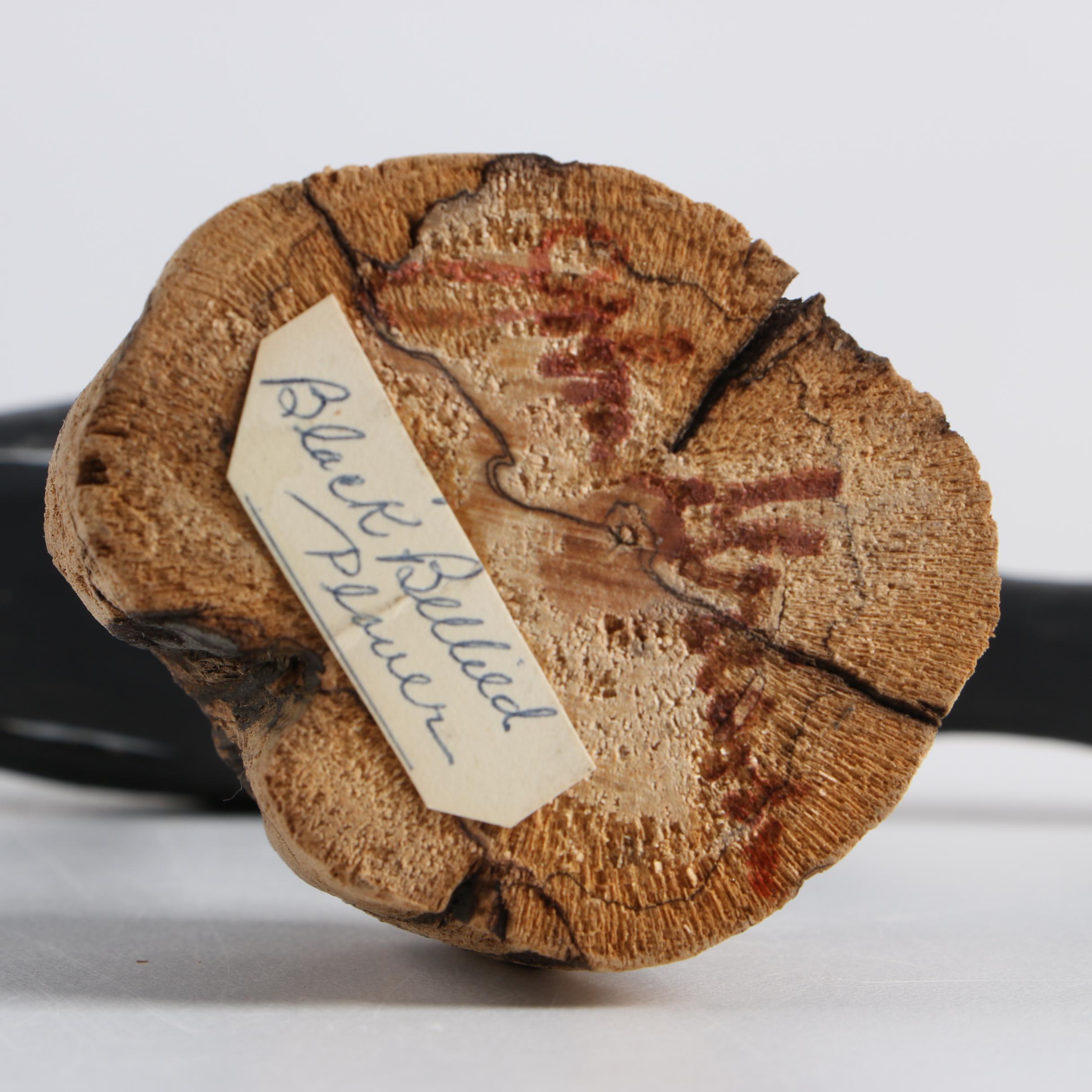 Four Painted Wood Shorebird Decoys Including Jay Parker