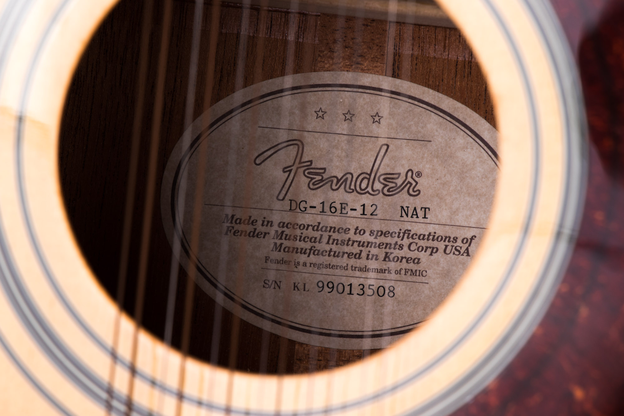 Fender DG-16E Acoustic-Electric Guitar with Case