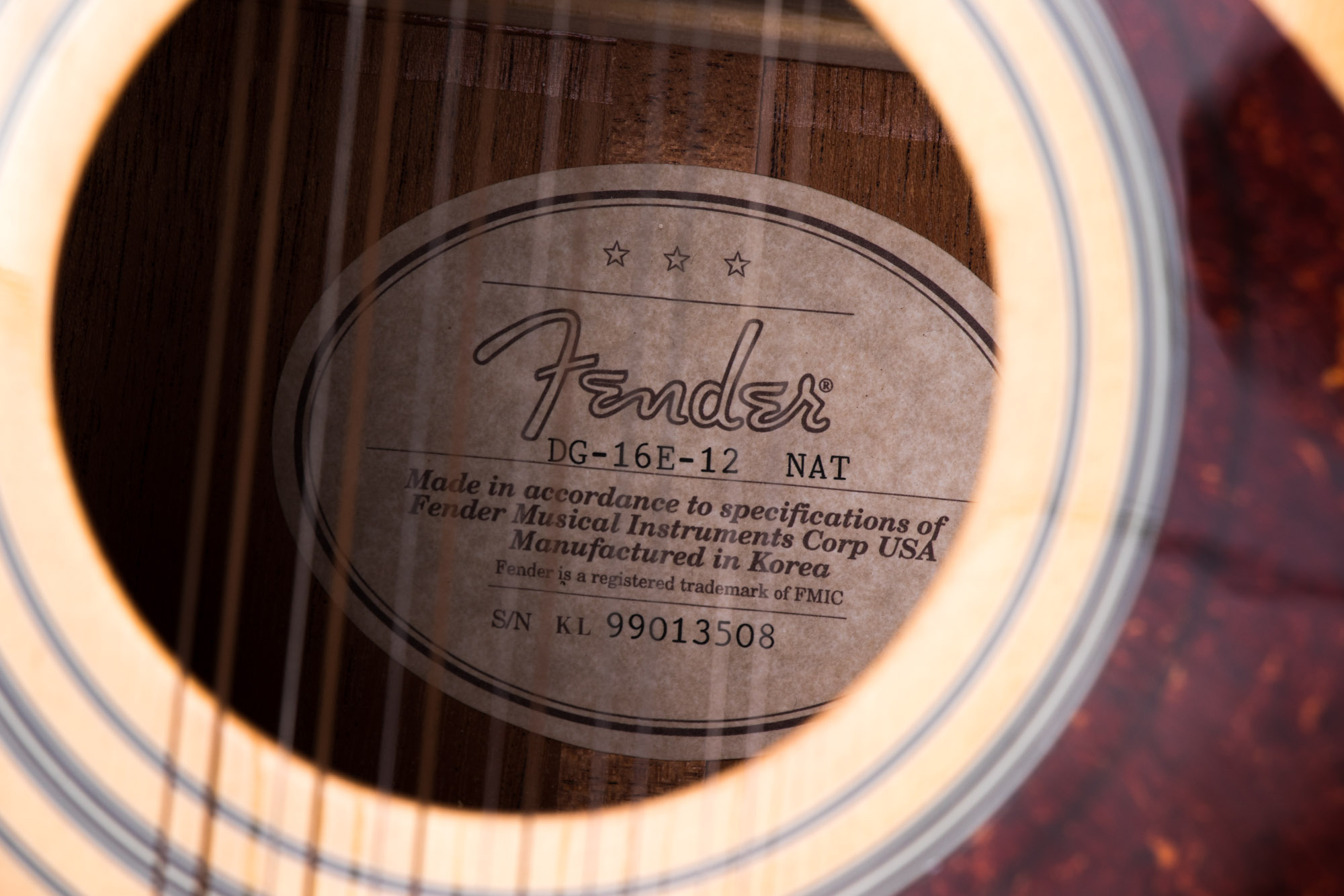 Fender DG-16E Acoustic-Electric Guitar with Case