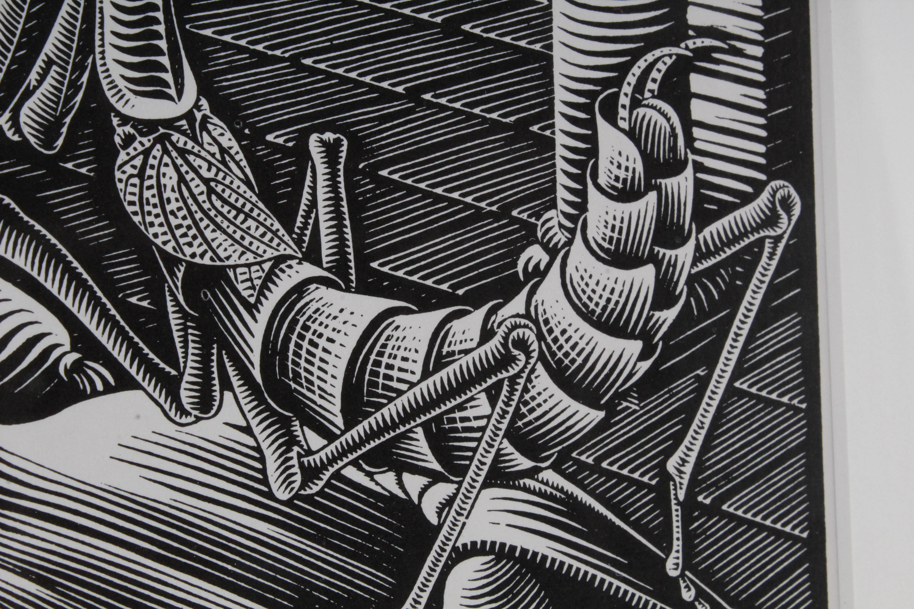 After M.C. Escher Offset Lithograph "Dream (Mantis Religiosa)"