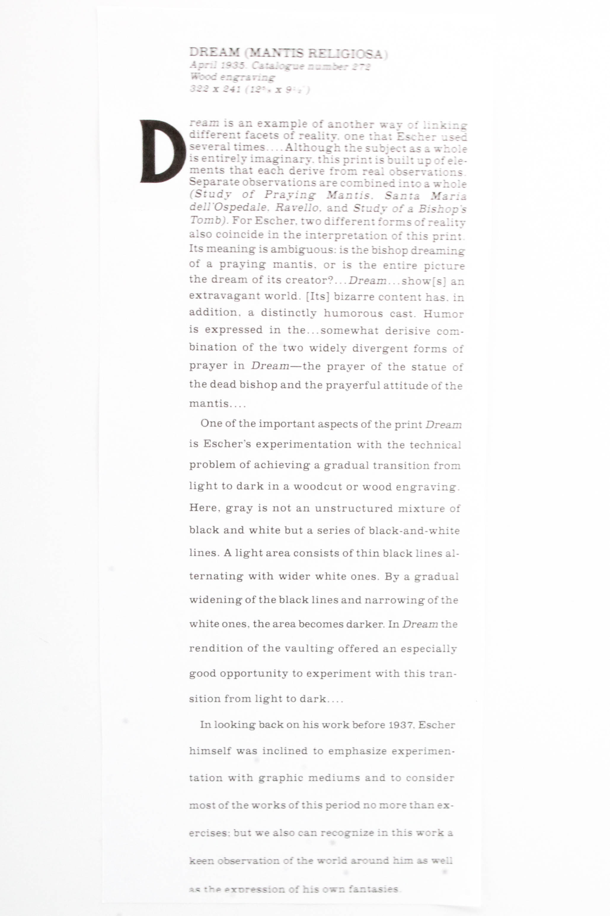 After M.C. Escher Offset Lithograph "Dream (Mantis Religiosa)"