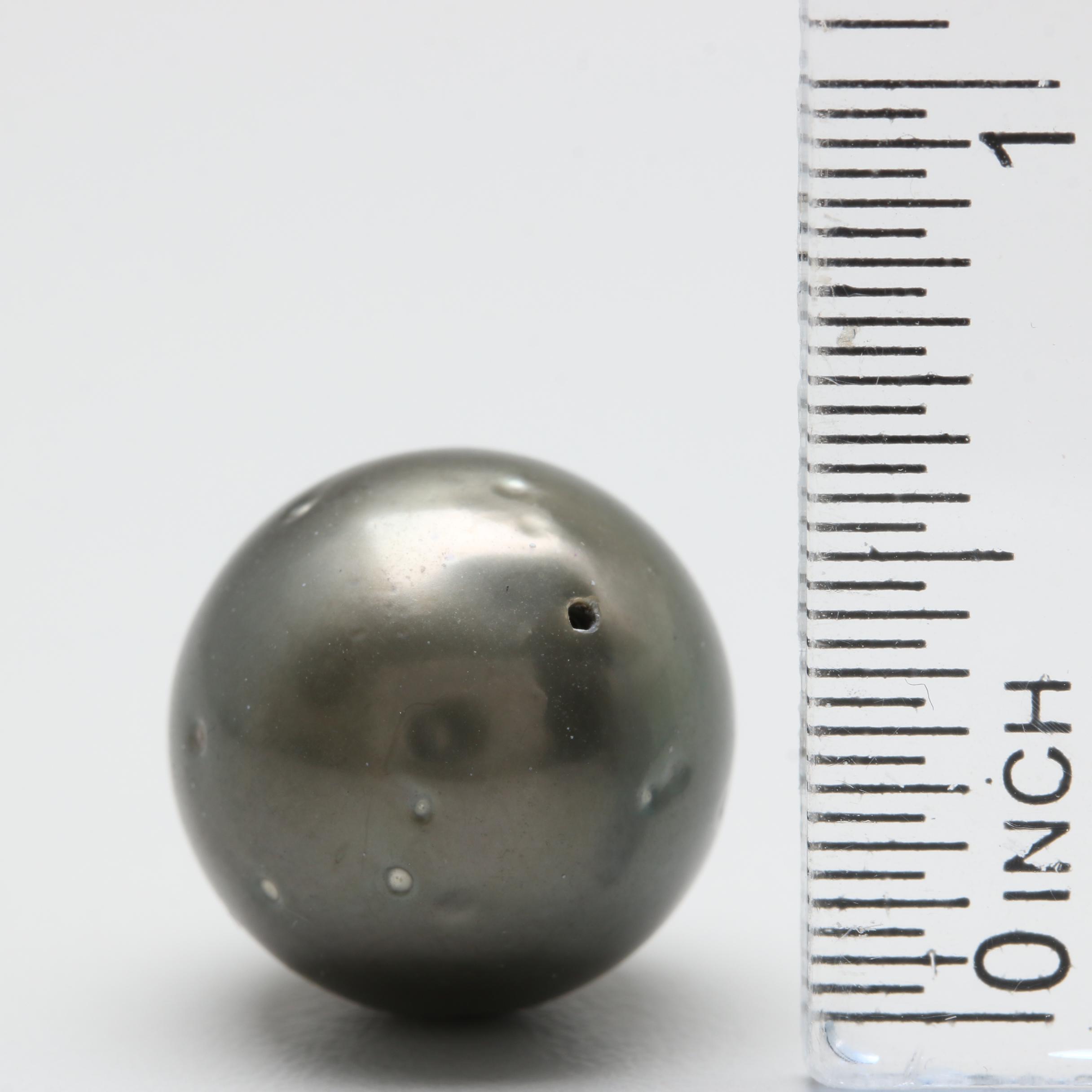 Loose Grey-Black Cultured Pearls