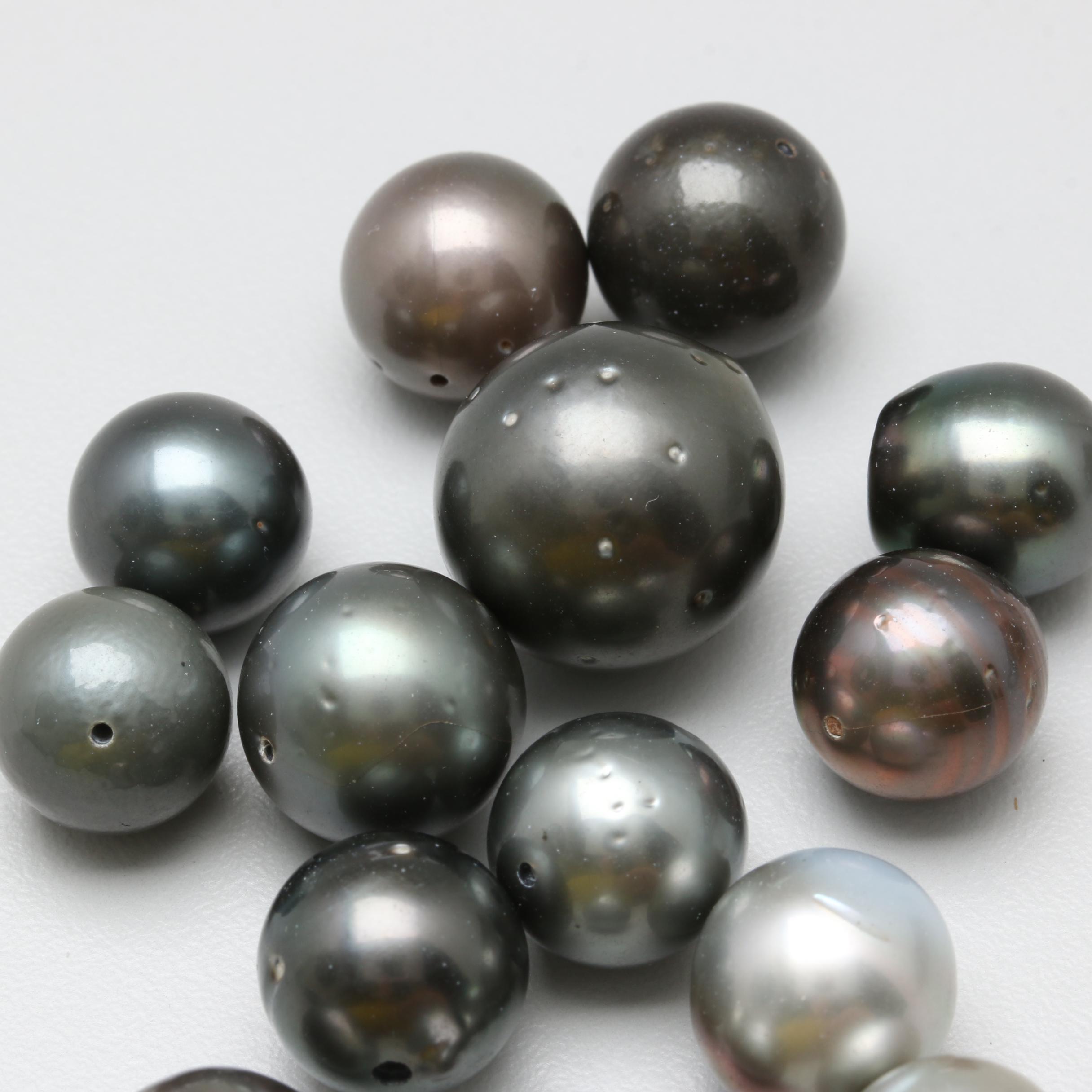 Loose Grey-Black Cultured Pearls