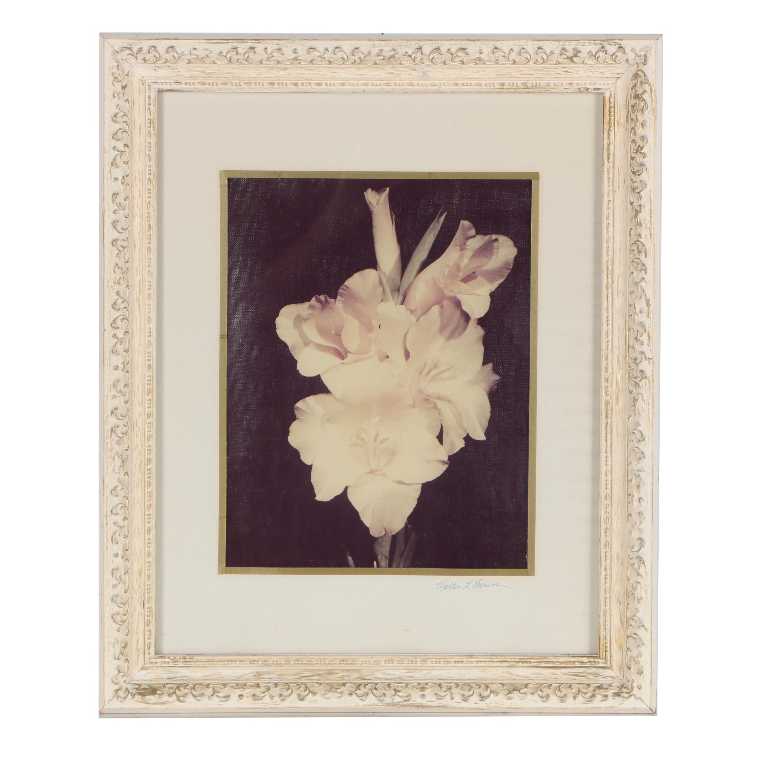 Walter L. Greene Chromogenic Color Print Photograph