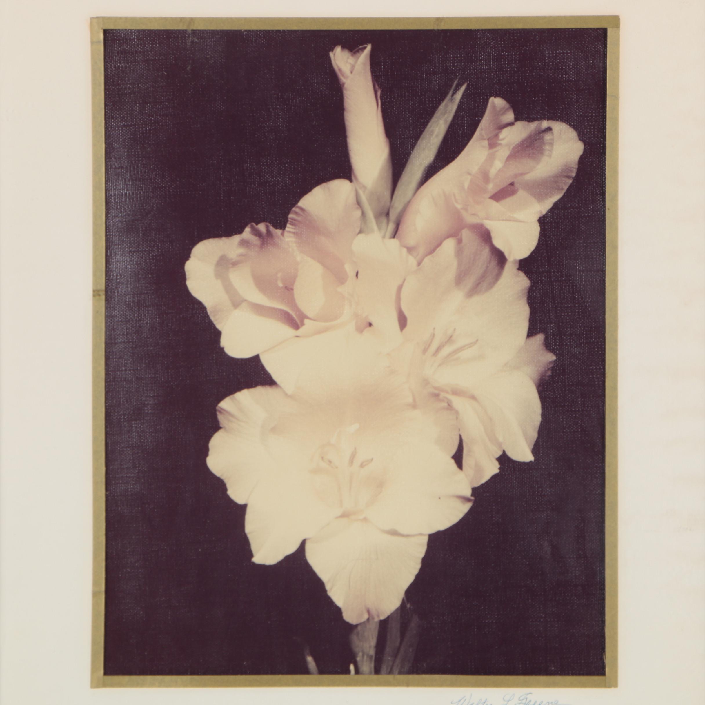 Walter L. Greene Chromogenic Color Print Photograph