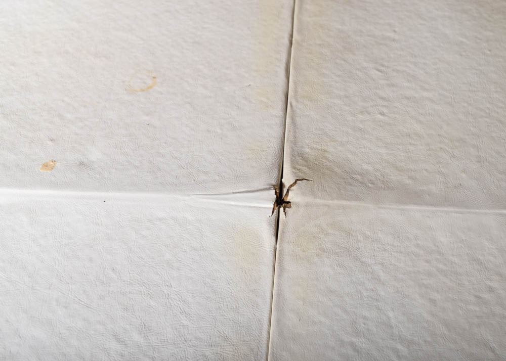 19th Century Empire Style Pedestal Dining Table