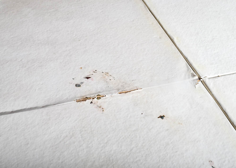 19th Century Empire Style Pedestal Dining Table