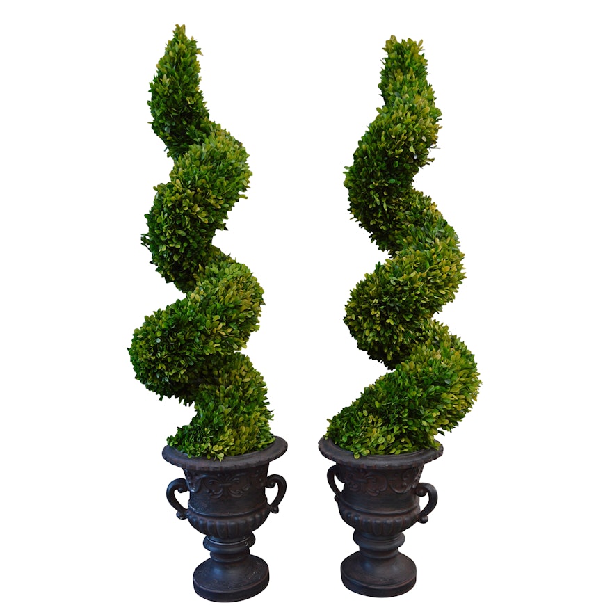 Pair of Large Preserved Genuine Boxwood Spiral Topiaries from Uttermost