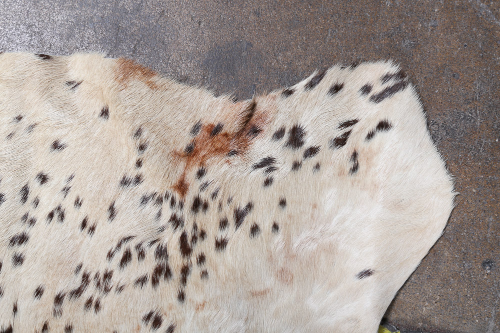 Natural Cow Hide Accent Rug