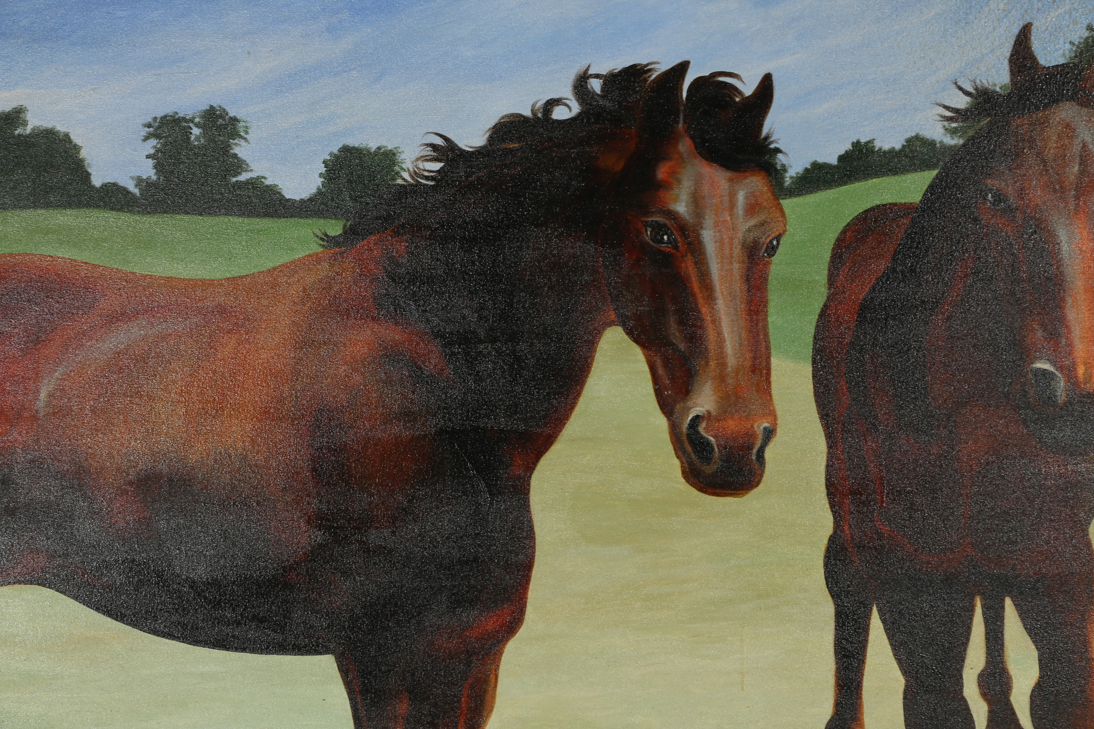 Lucy Baker Acrylic Painting "Two Horses in a Field"