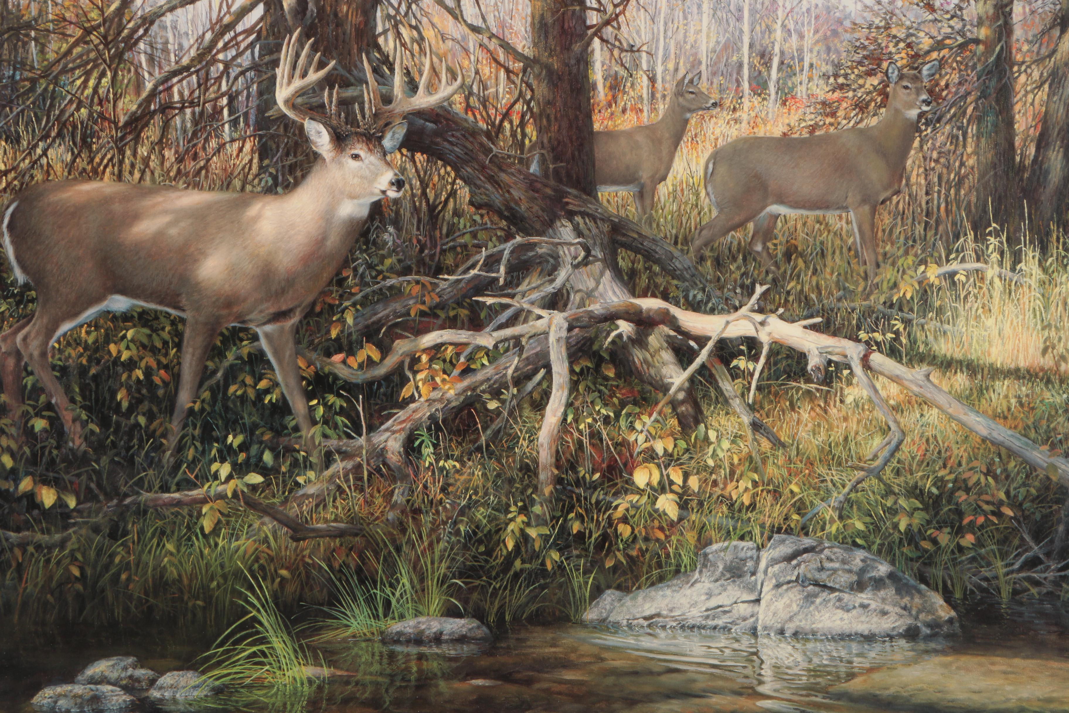 Ron Van Gilder Offset Lithograph "When Seasons Change - White Tail Deer"