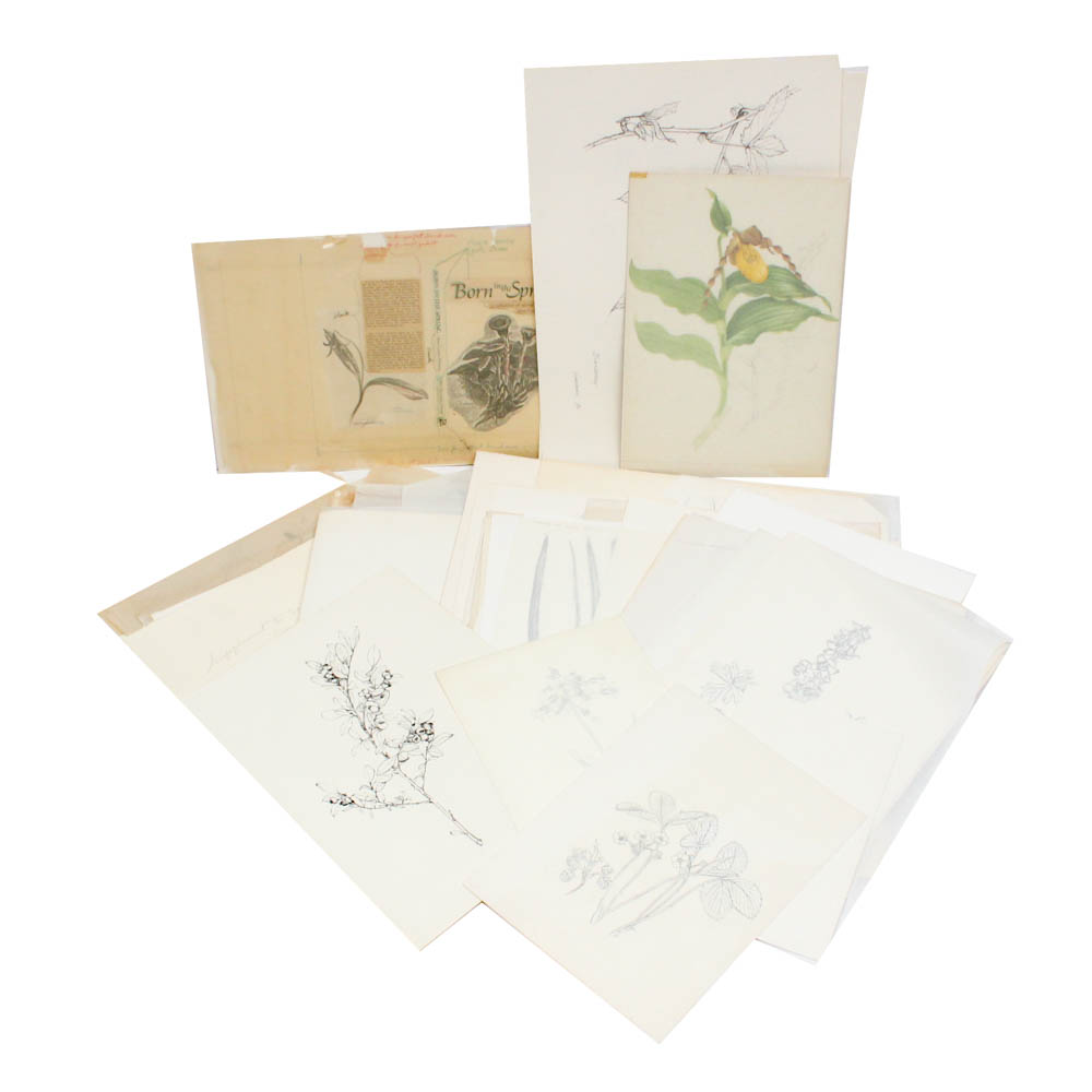 June Carver Roberts Archive of Works Featuring "Born in the Spring" Studies