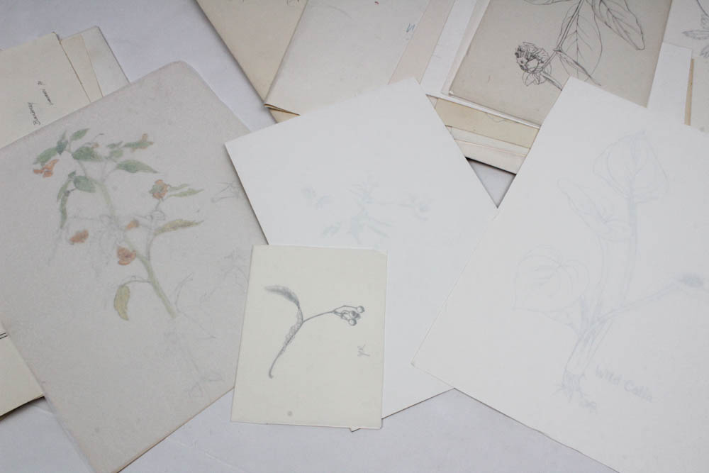 June Carver Roberts Archive of Works Featuring "Born in the Spring" Studies