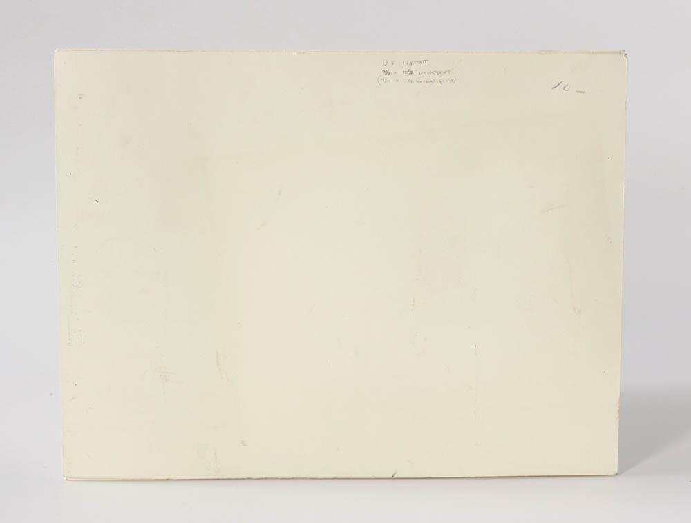 Benjamin Fawcett Wood Engraving "Hooper (Swan), Bewick's Swan, Polish Swan"