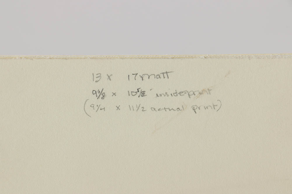 Benjamin Fawcett Wood Engraving "Hooper (Swan), Bewick's Swan, Polish Swan"