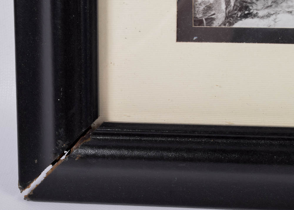 Collection of Vintage Black & White Photographs of The VanLandingham Estate