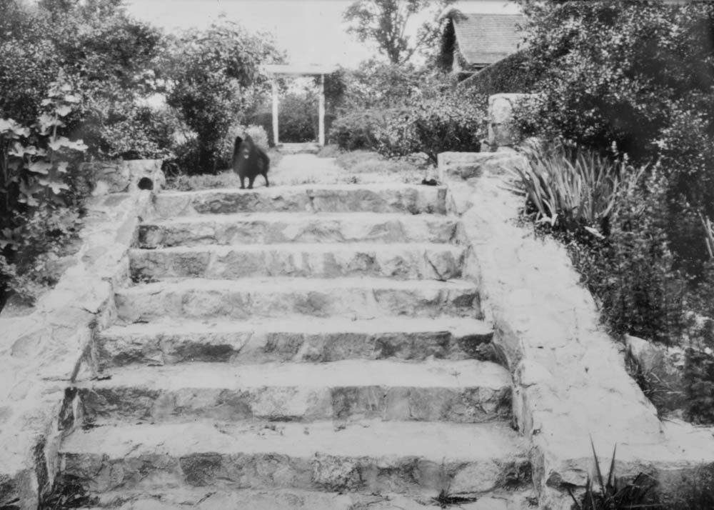 Collection of Vintage Black & White Photographs of The VanLandingham Estate