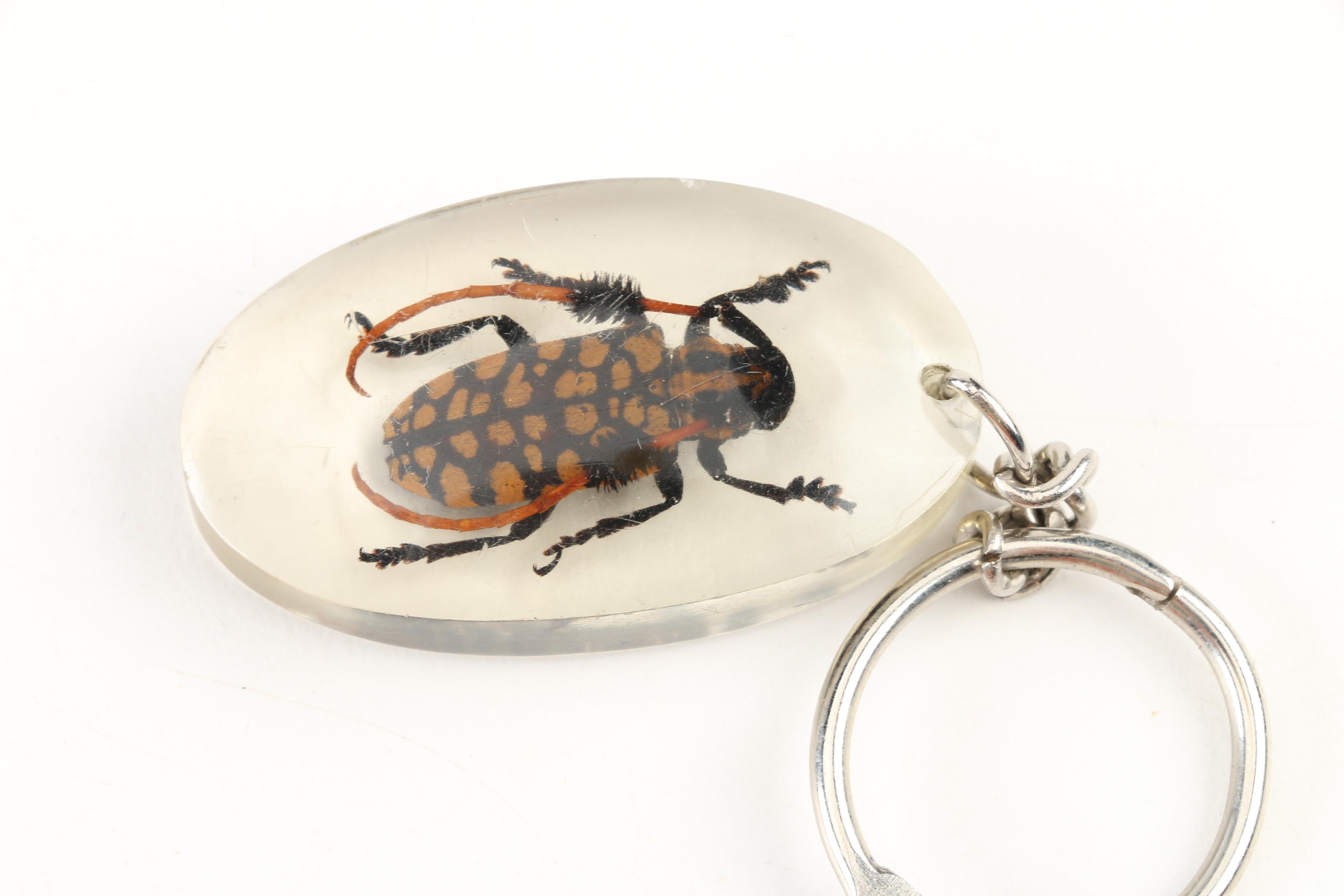 Tigger, Teletubbies and Other Character Keychains