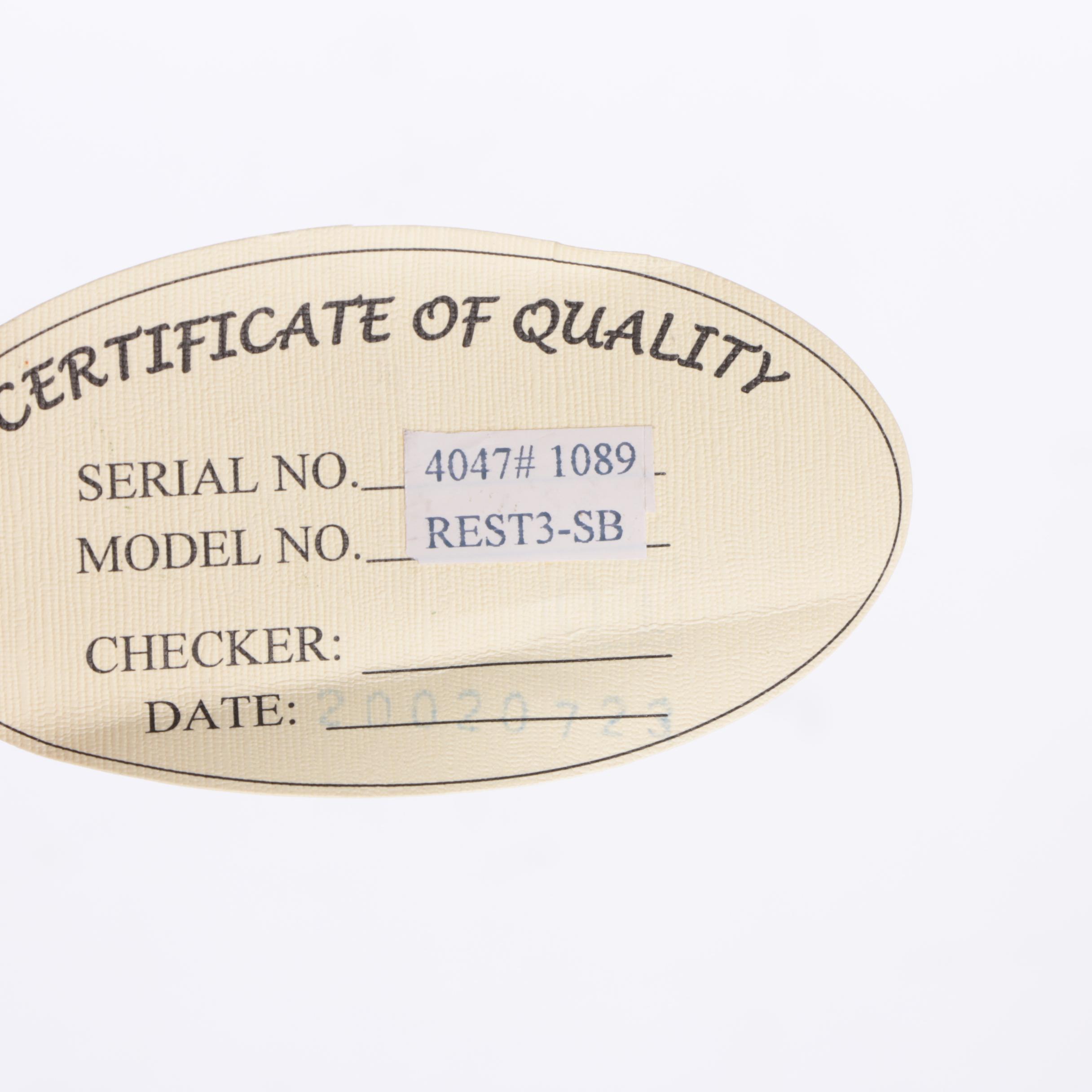 Regal Strat Style Solid Body Electric Guitar