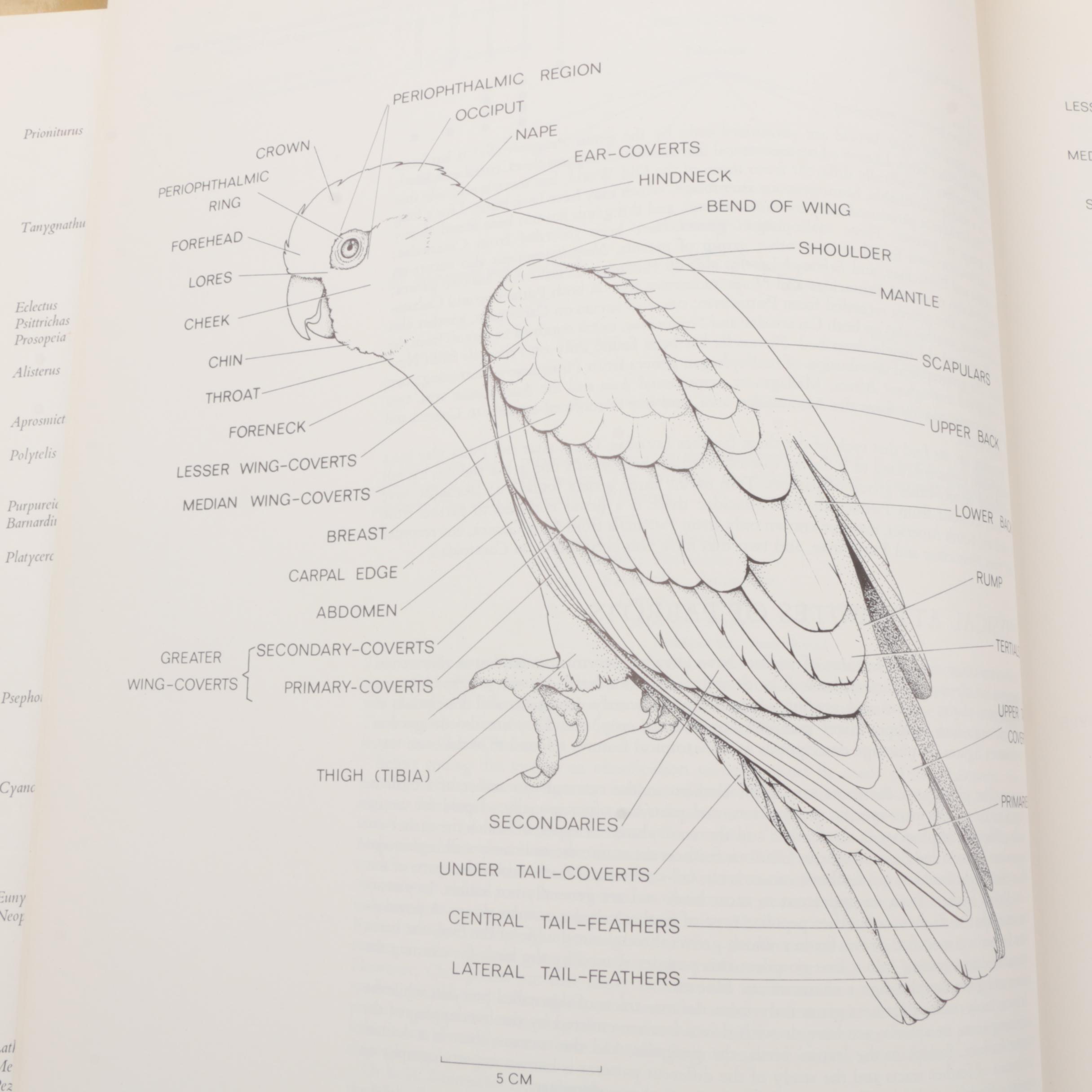 1973 "Parrots of the World" by Joseph M. Forshaw